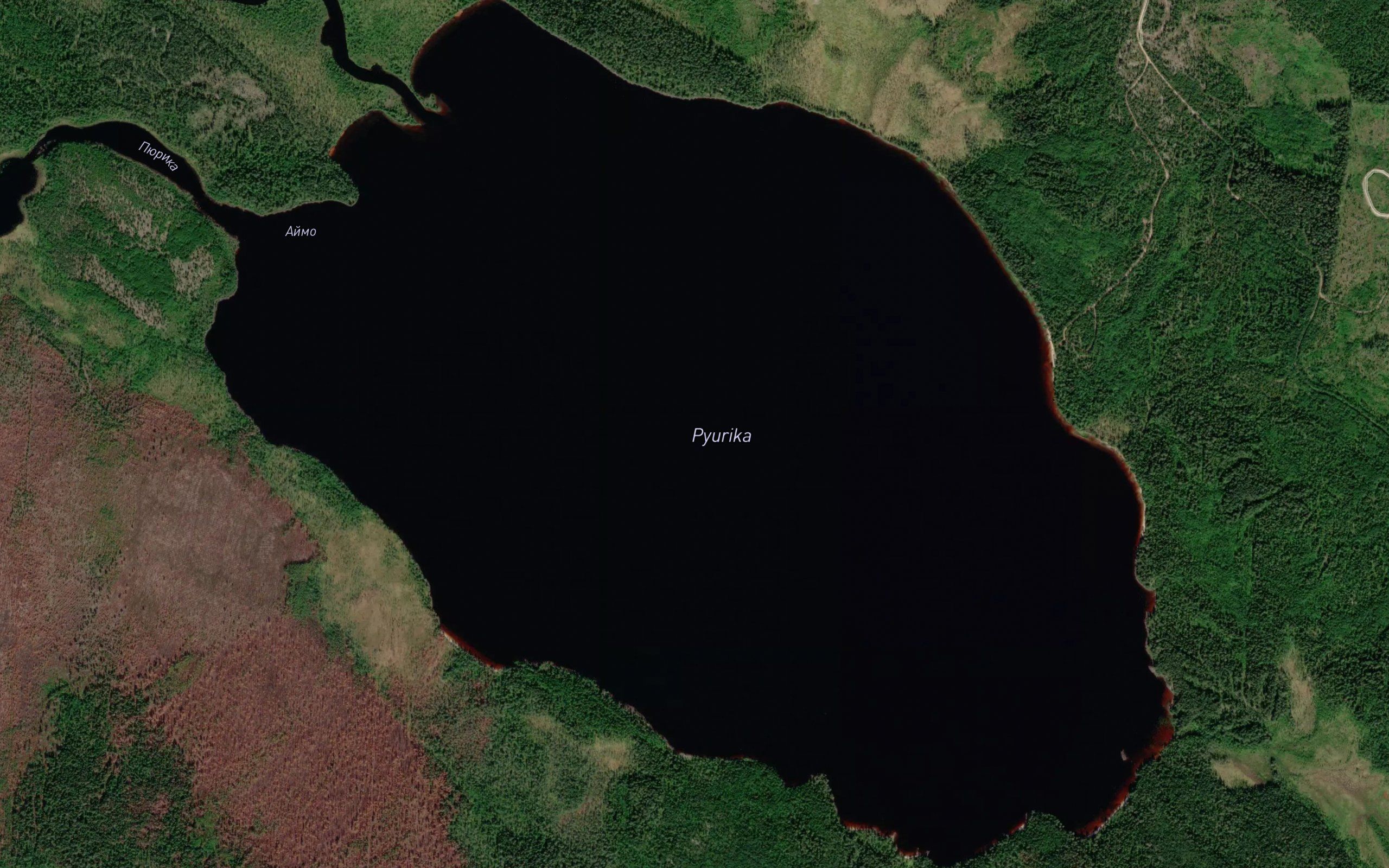 Ozero Pyurika