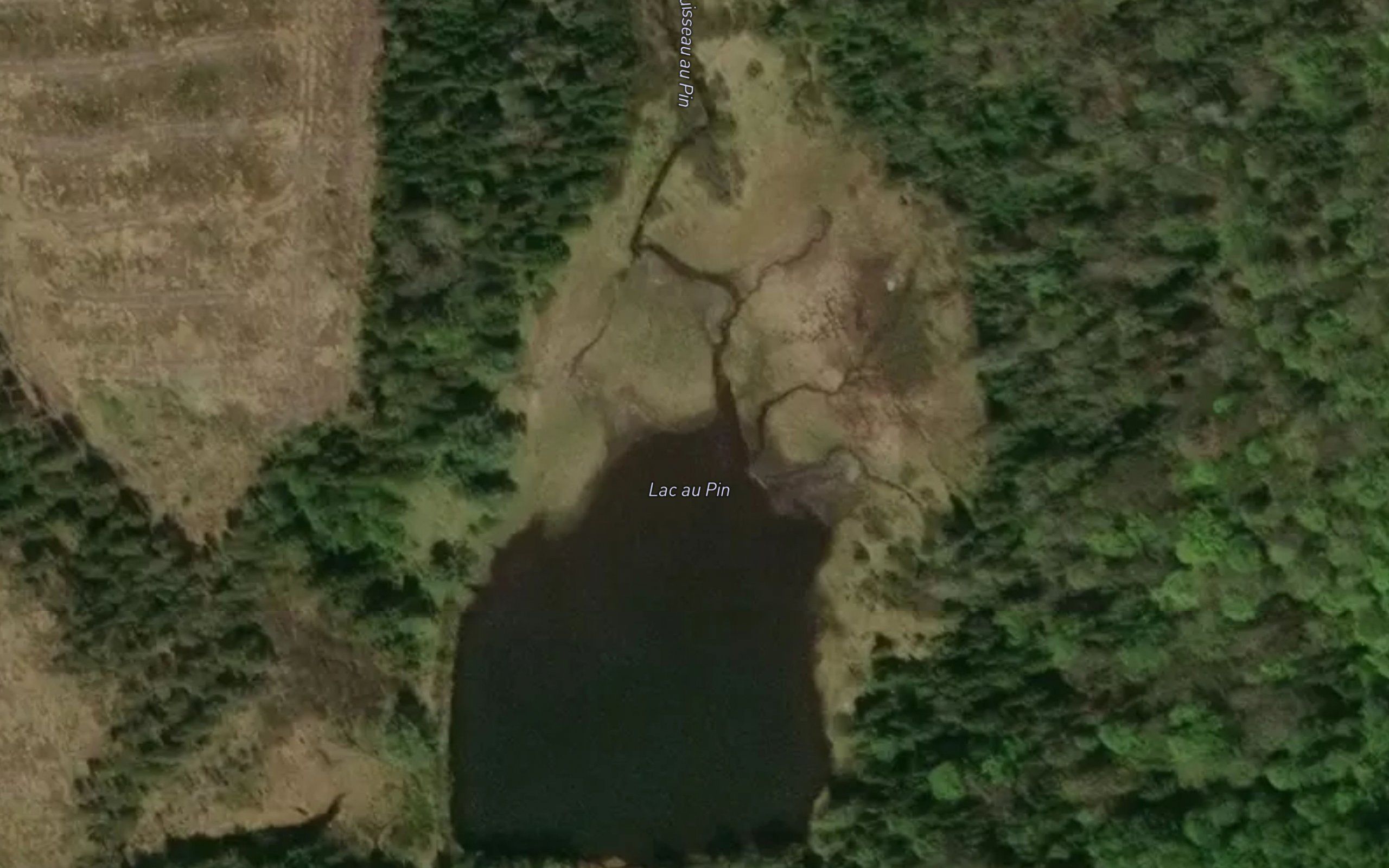 Lac au Pin
