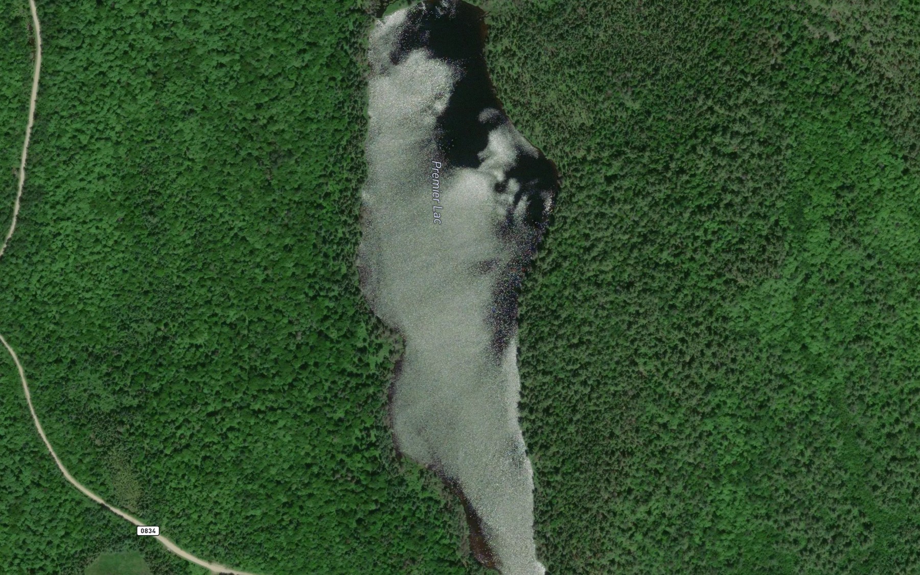 Satellite map of the Premier Lac