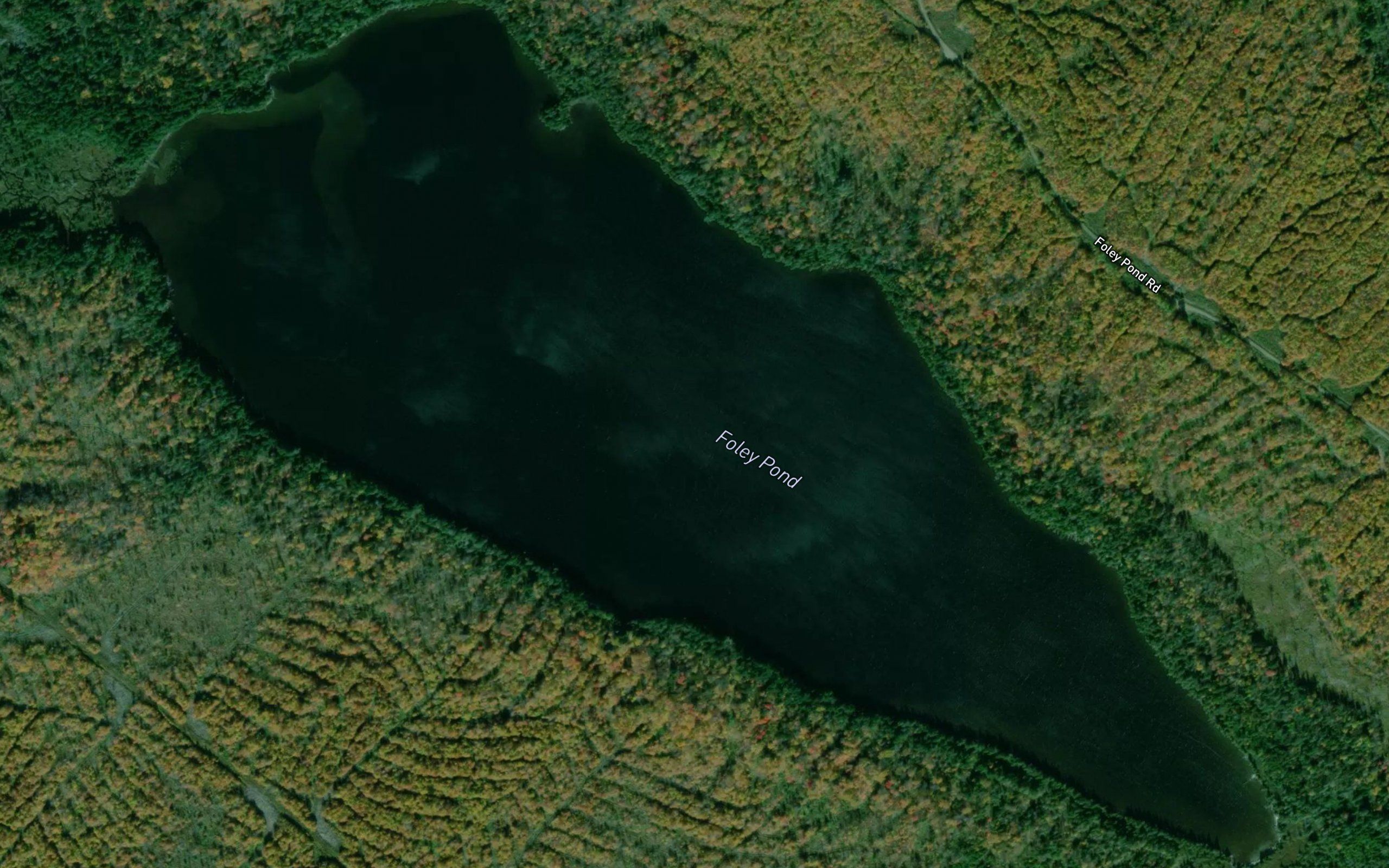 Foley Pond