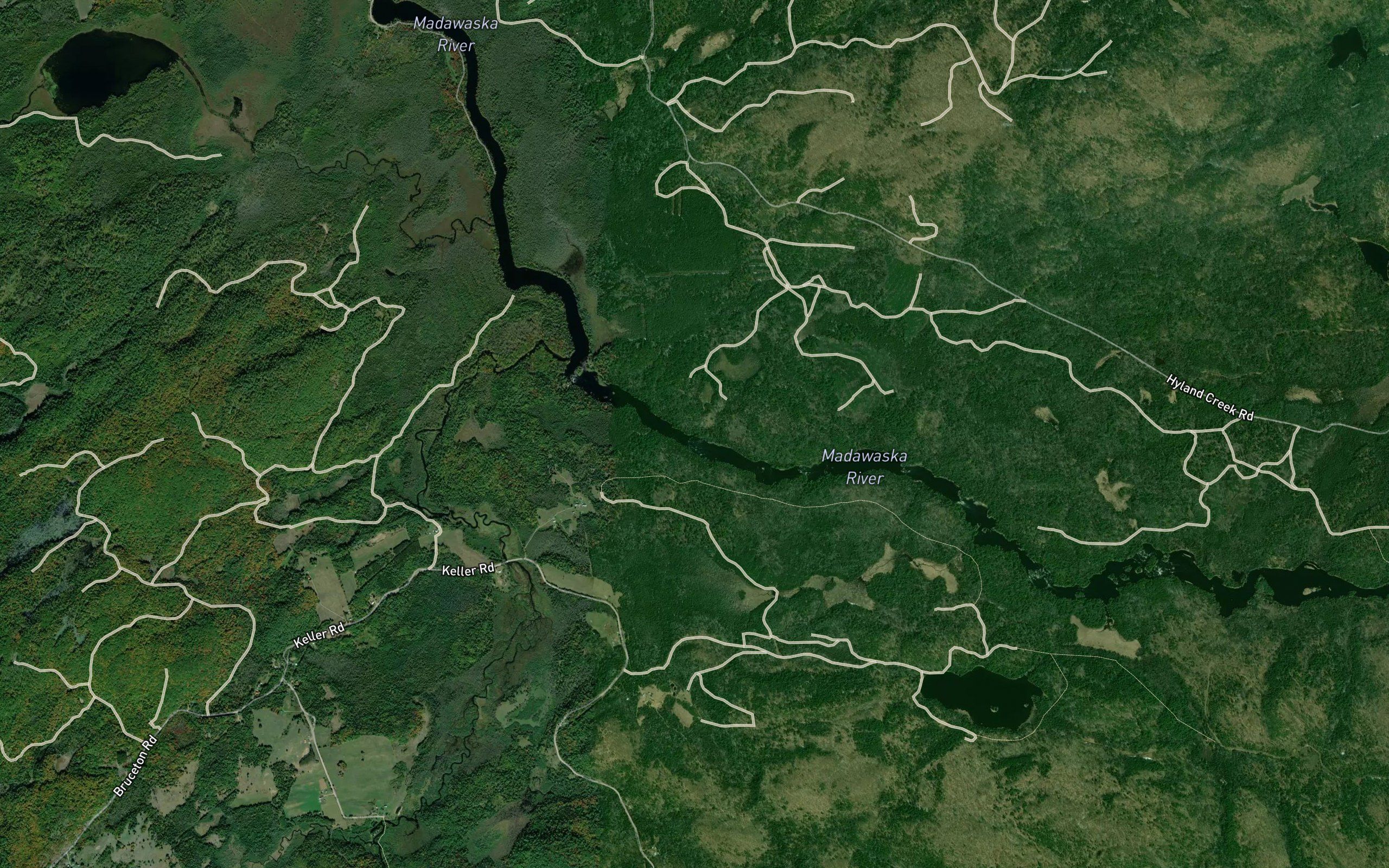 Dog Leg Rapids
