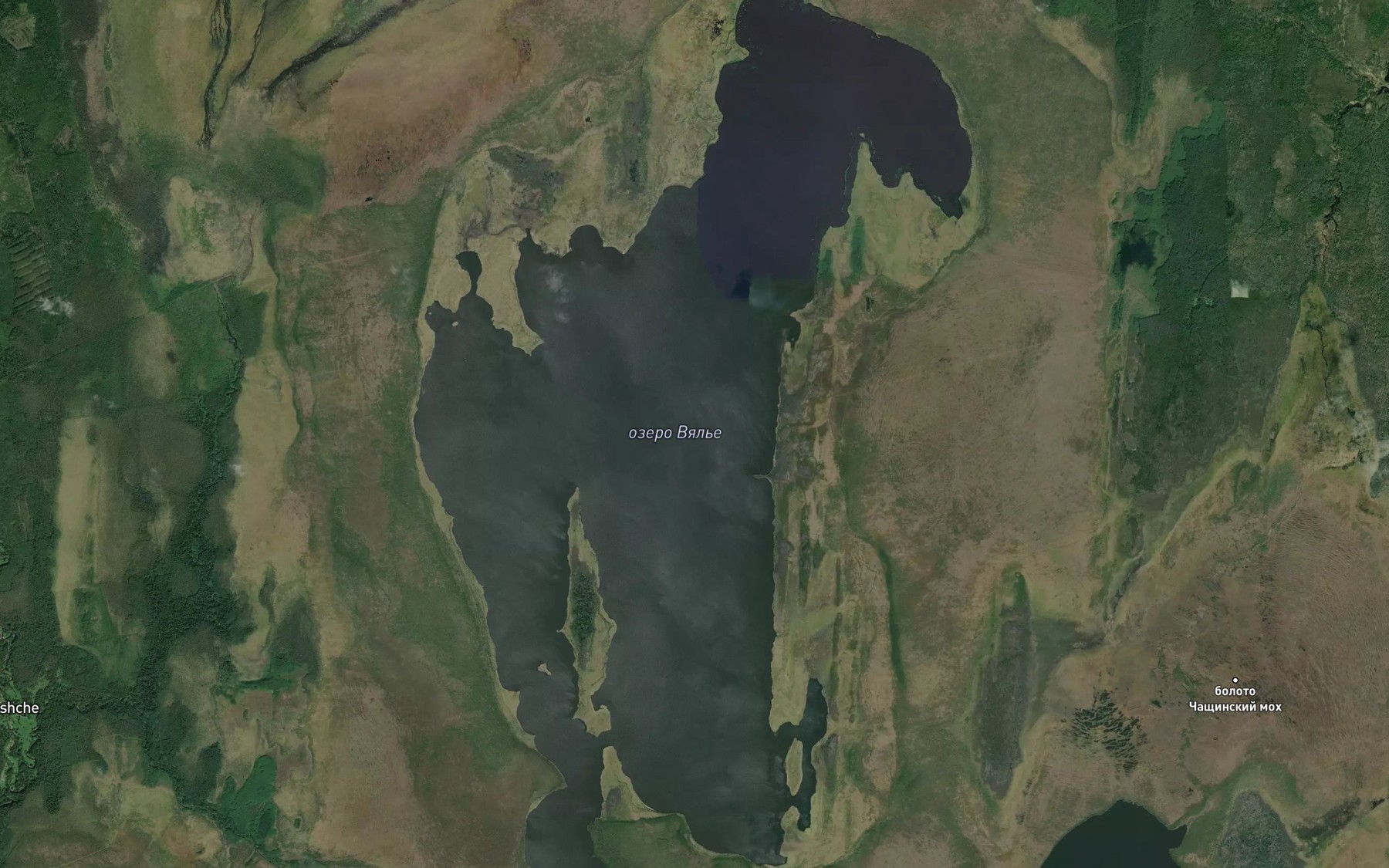 Satellite map of the Ozero Vyal'ye