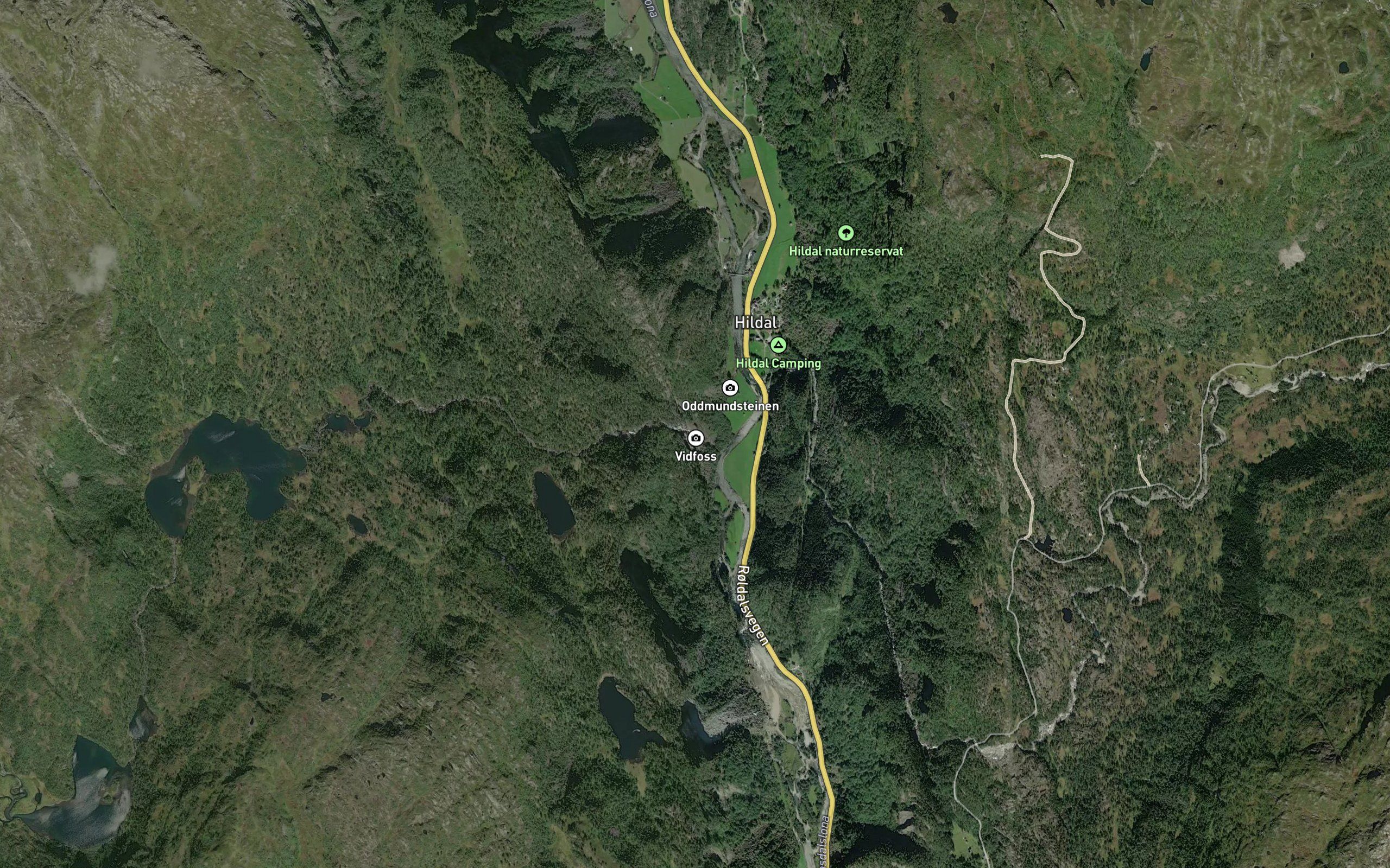 Vidfoss
