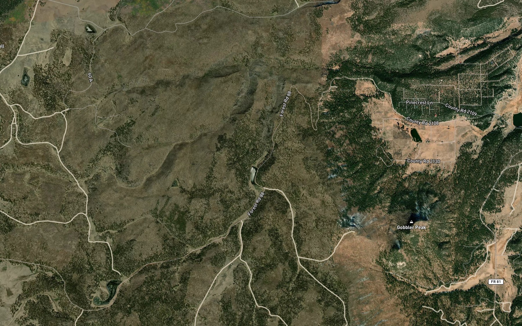 Satellite map of the Rogers Reservoir