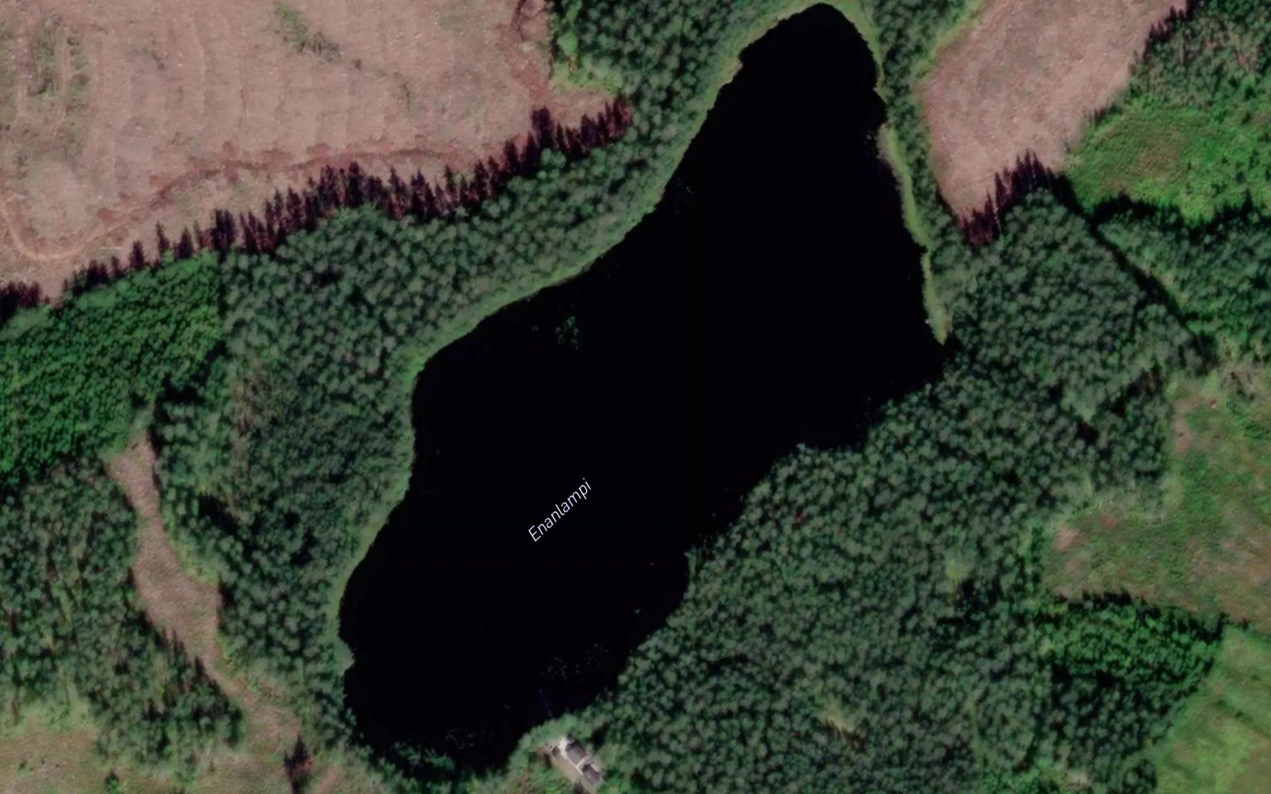 Enanlampi