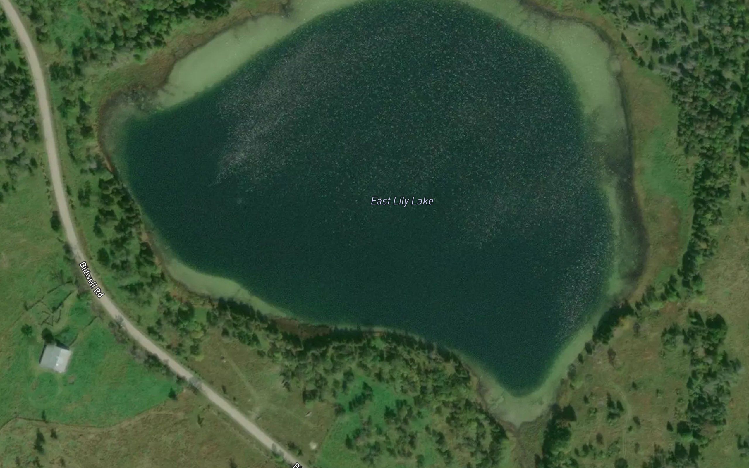 East Lily Lake