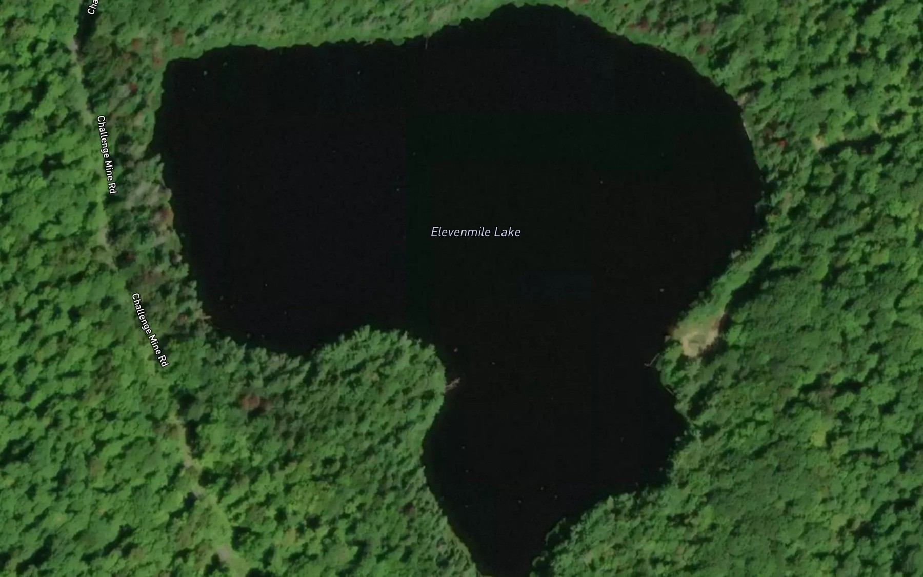 Satellite map of the Elevenmile Lake