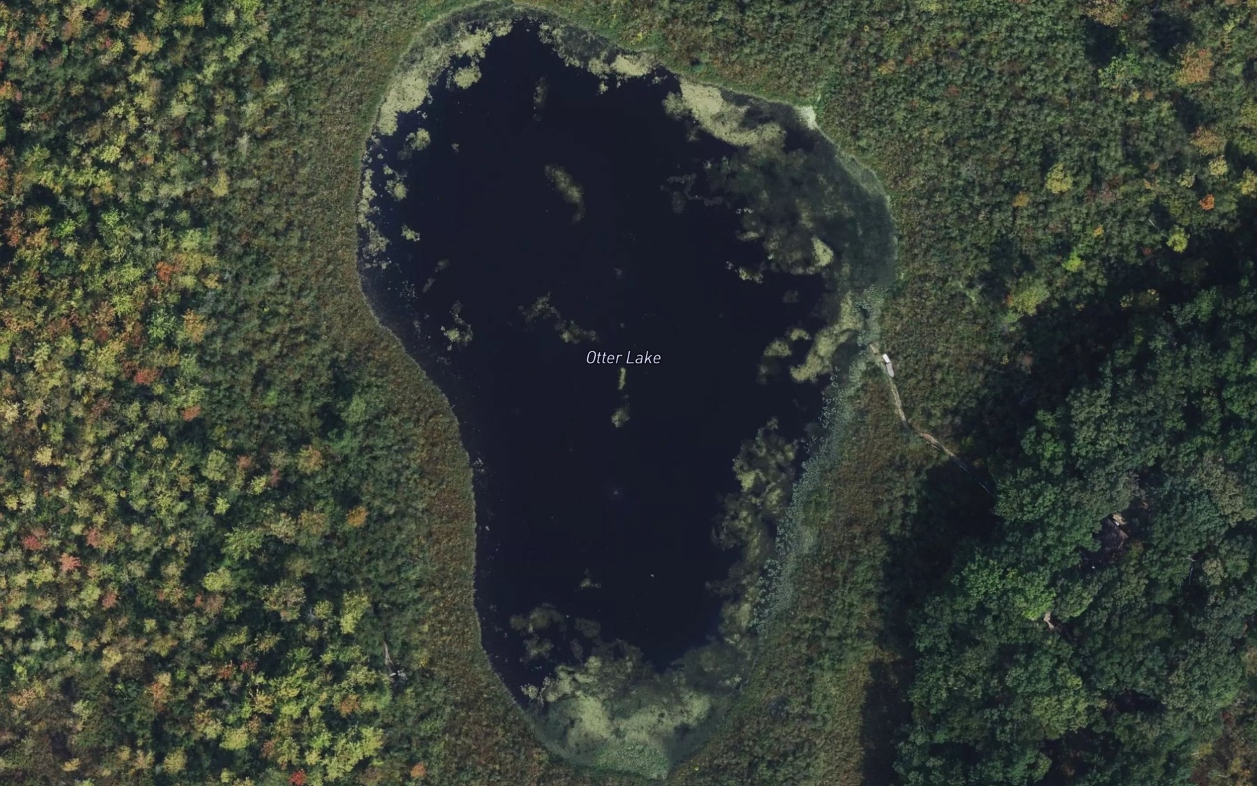 Satellite map of the Otter Lake