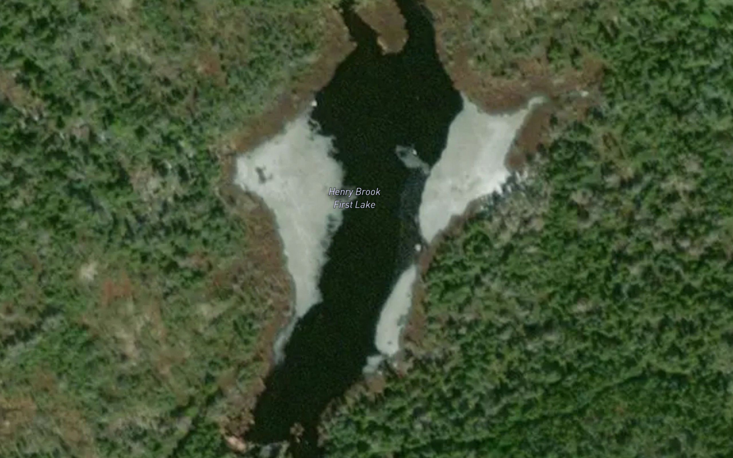 Henry Brook First Lake