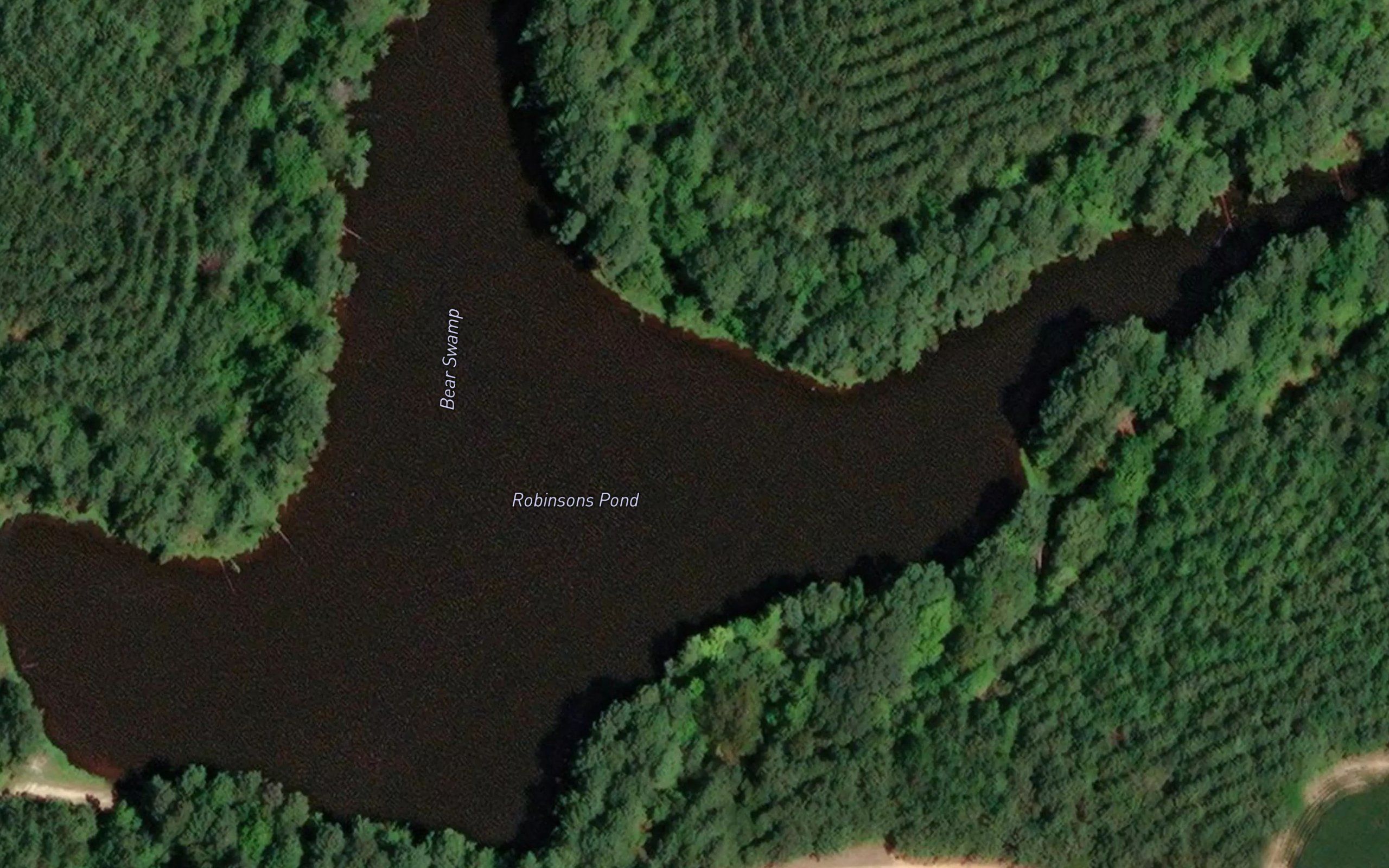 Robinsons Pond