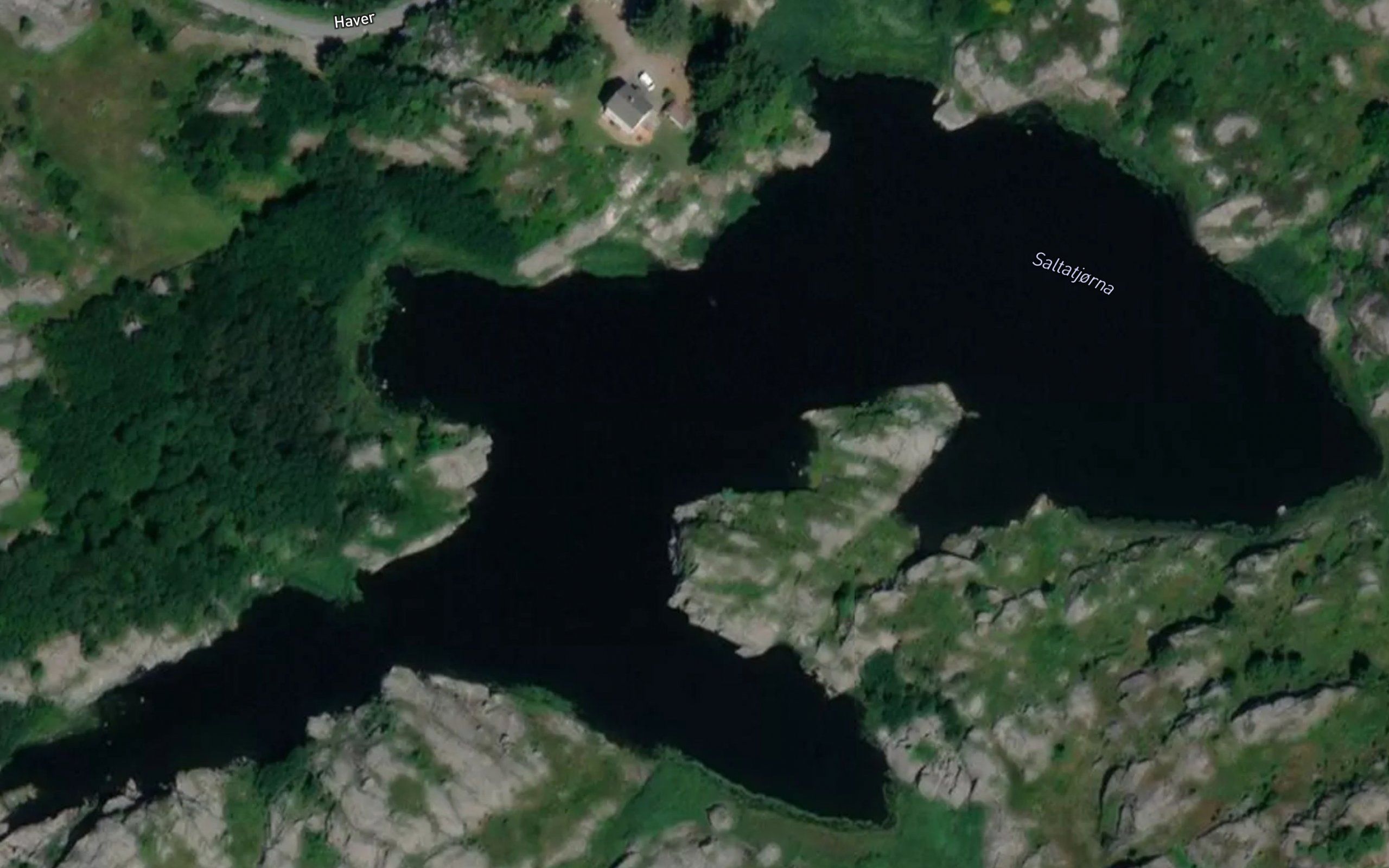 Saltatjorni