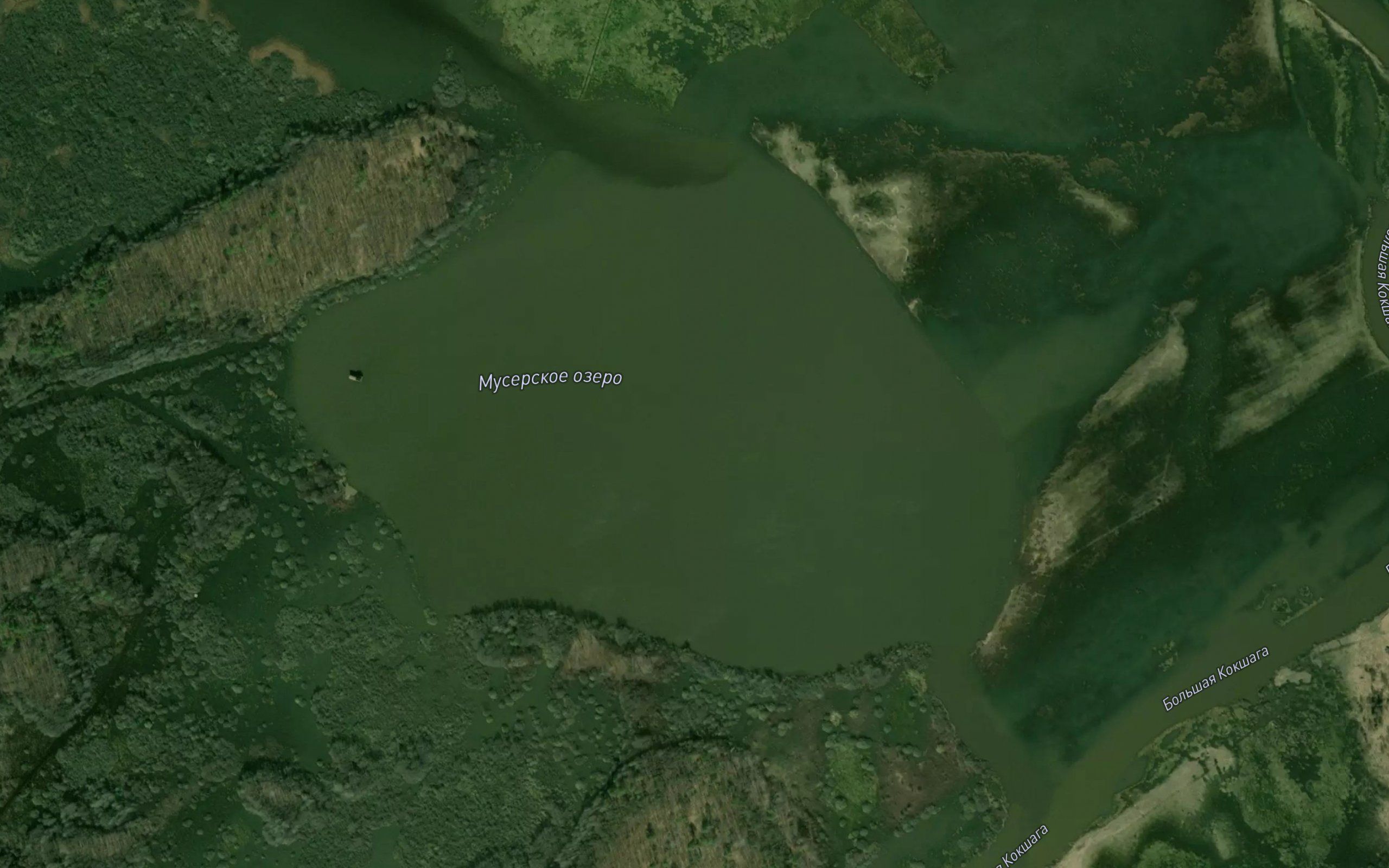 Ozero Muserskoye