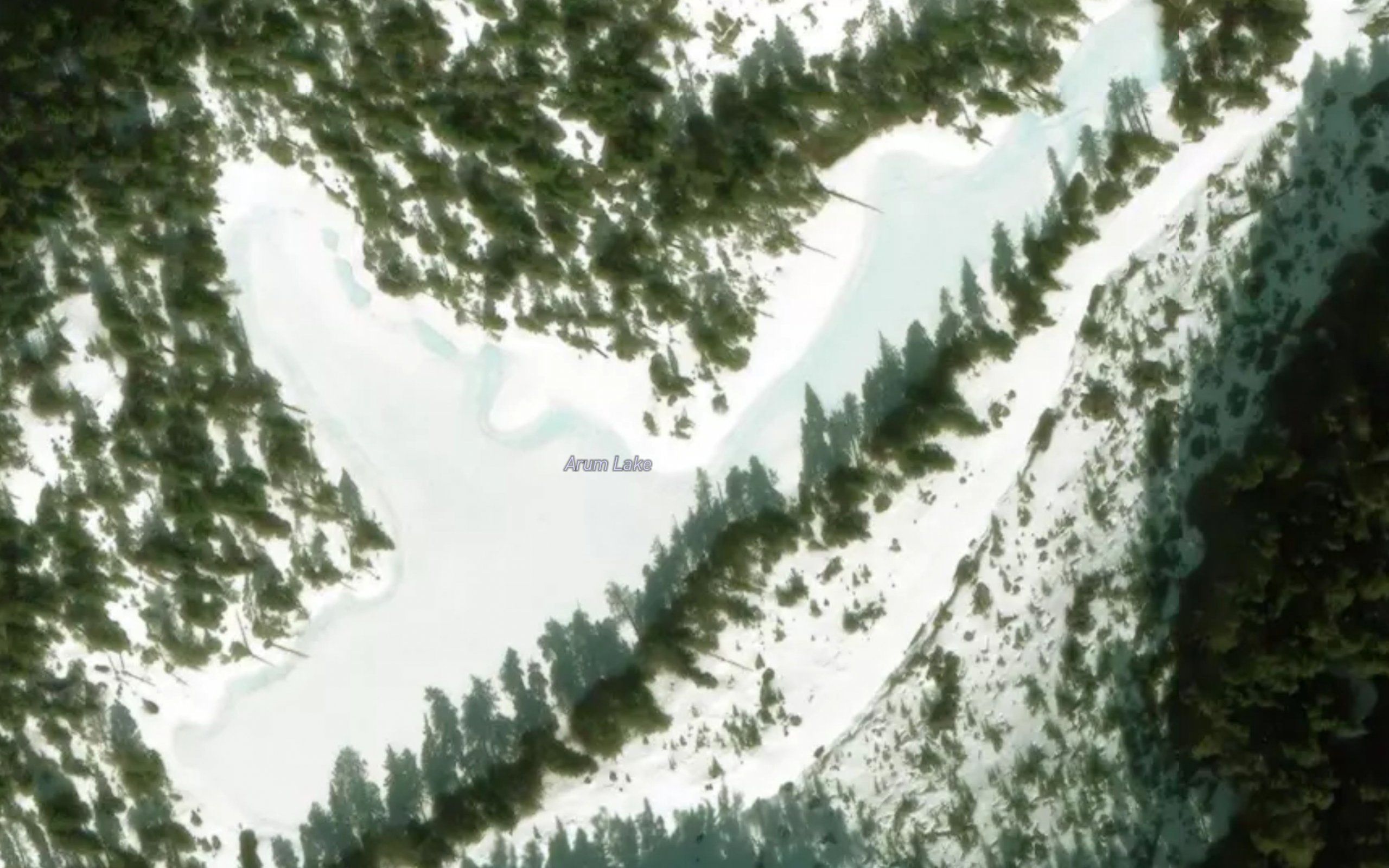 Arum Lake