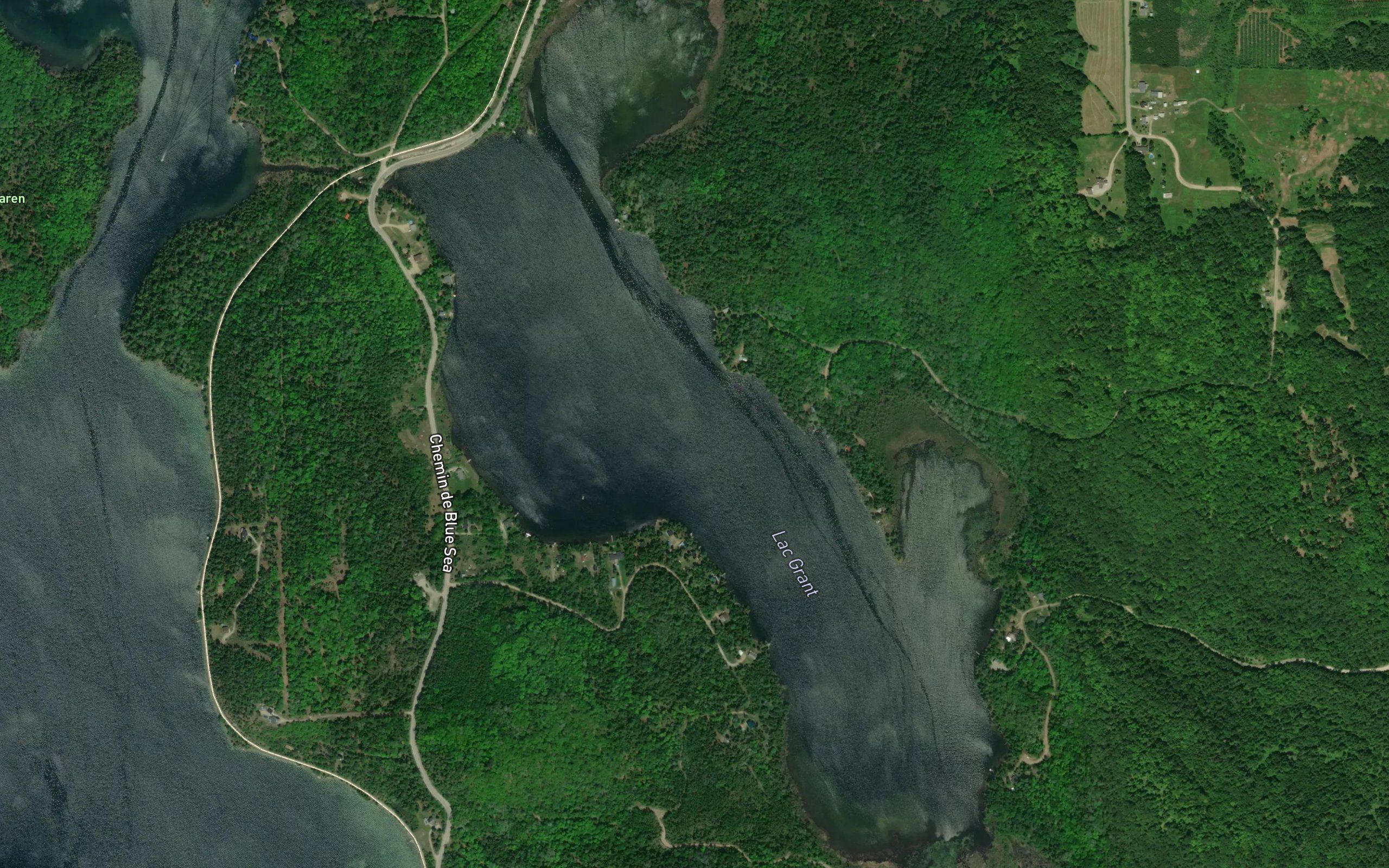 Lac Grant