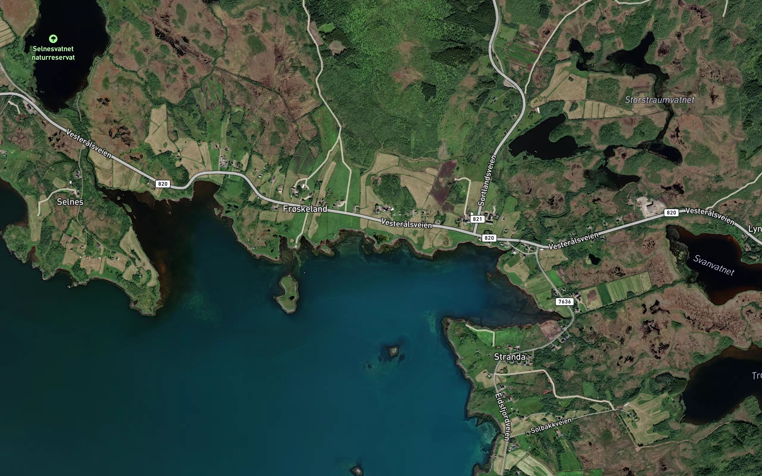 Stortjonna