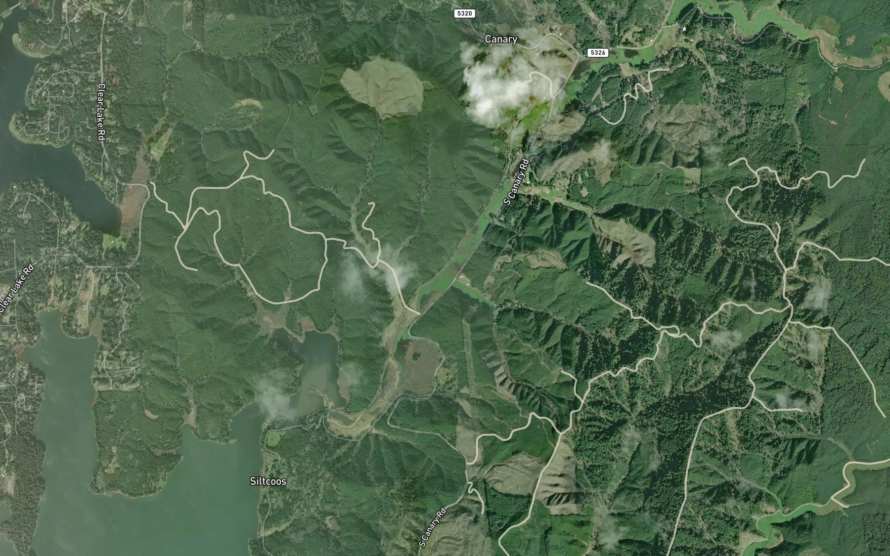 Satellite map of the Carle Creek