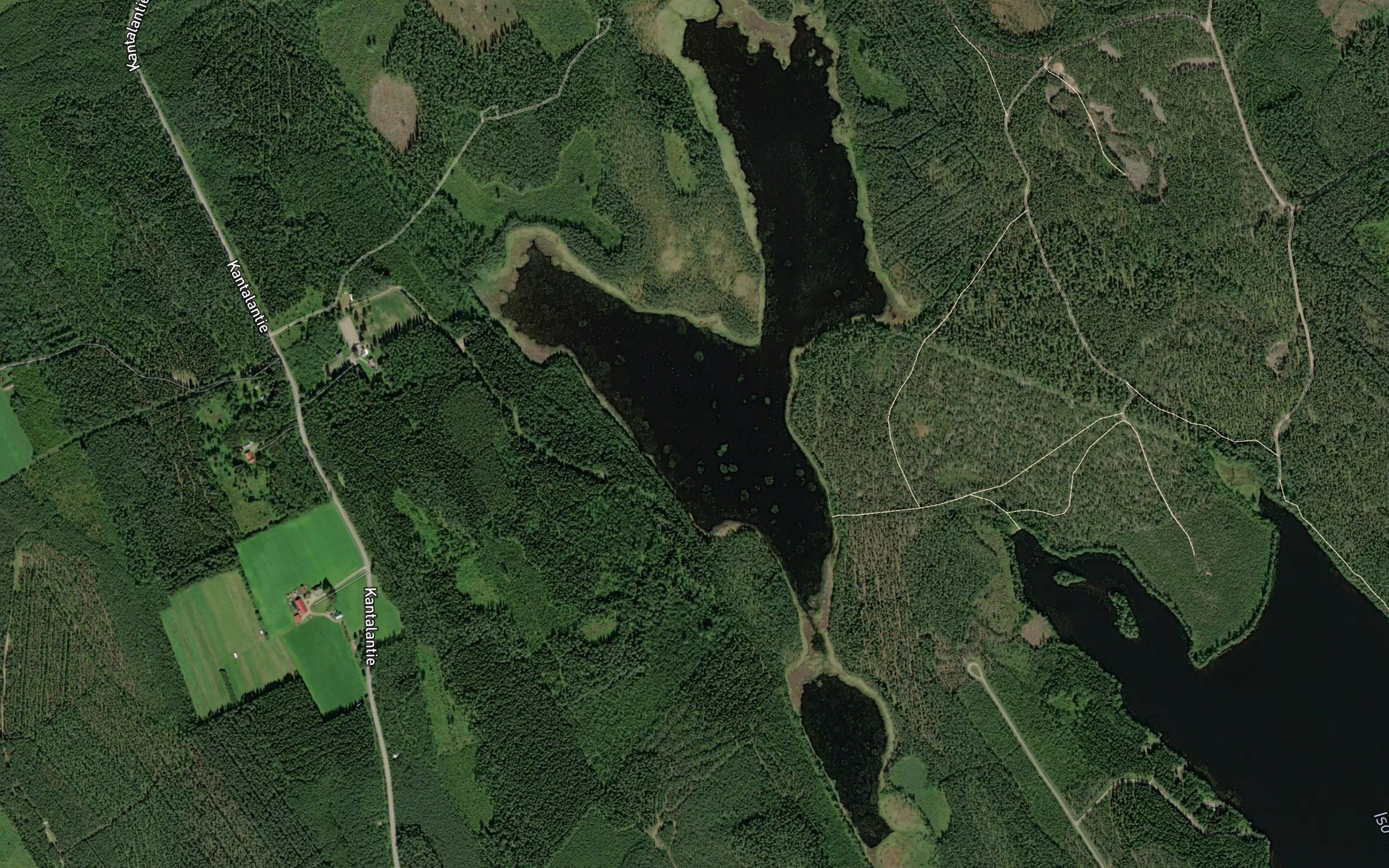 Kortelampi