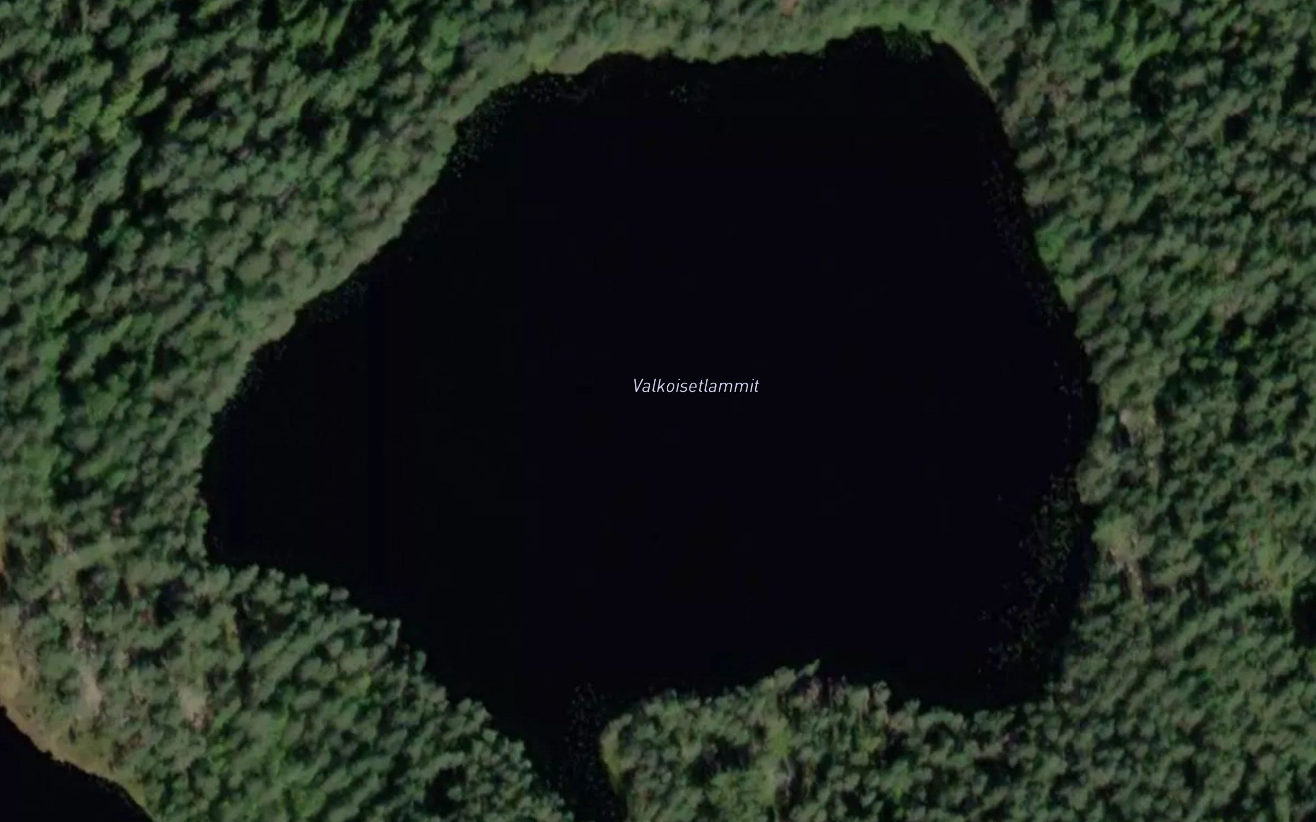 Valkoisetlammit