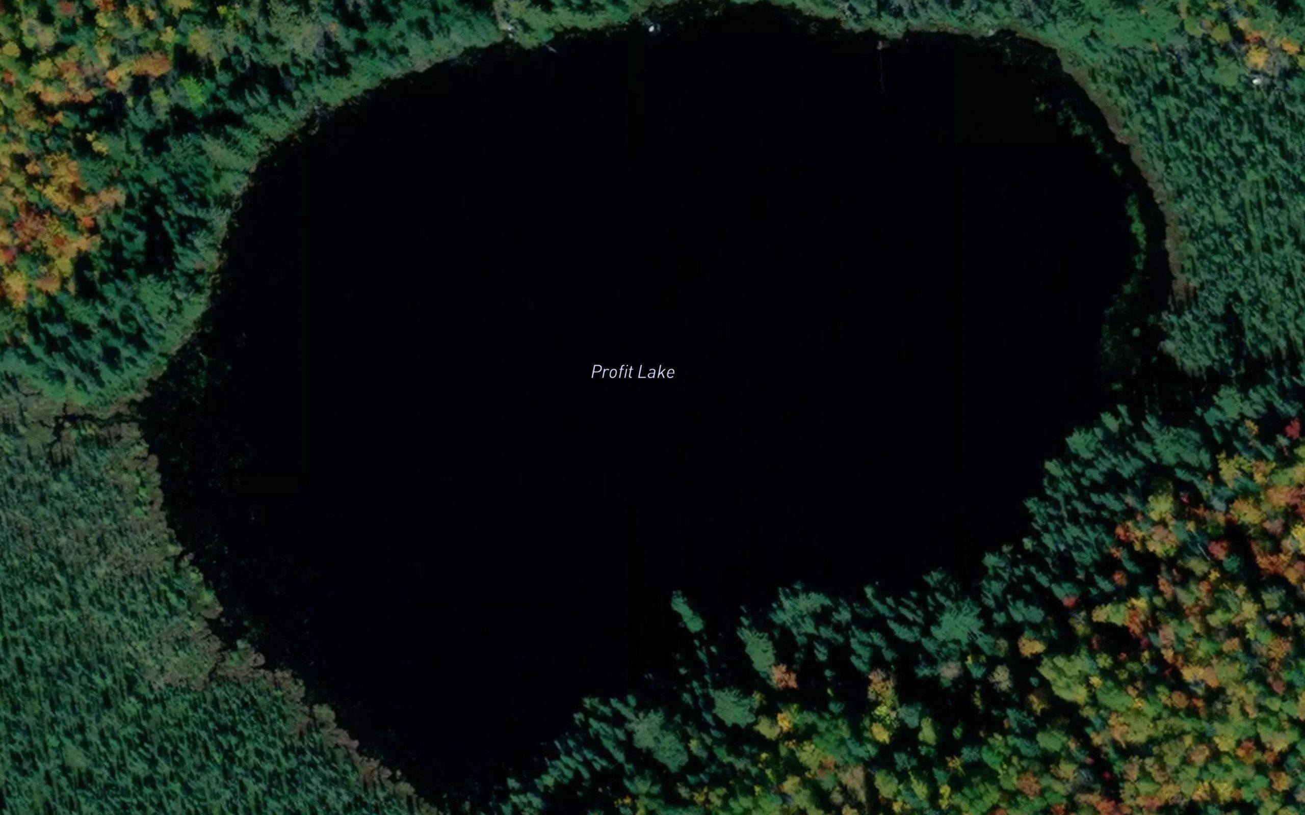 Profit Lake