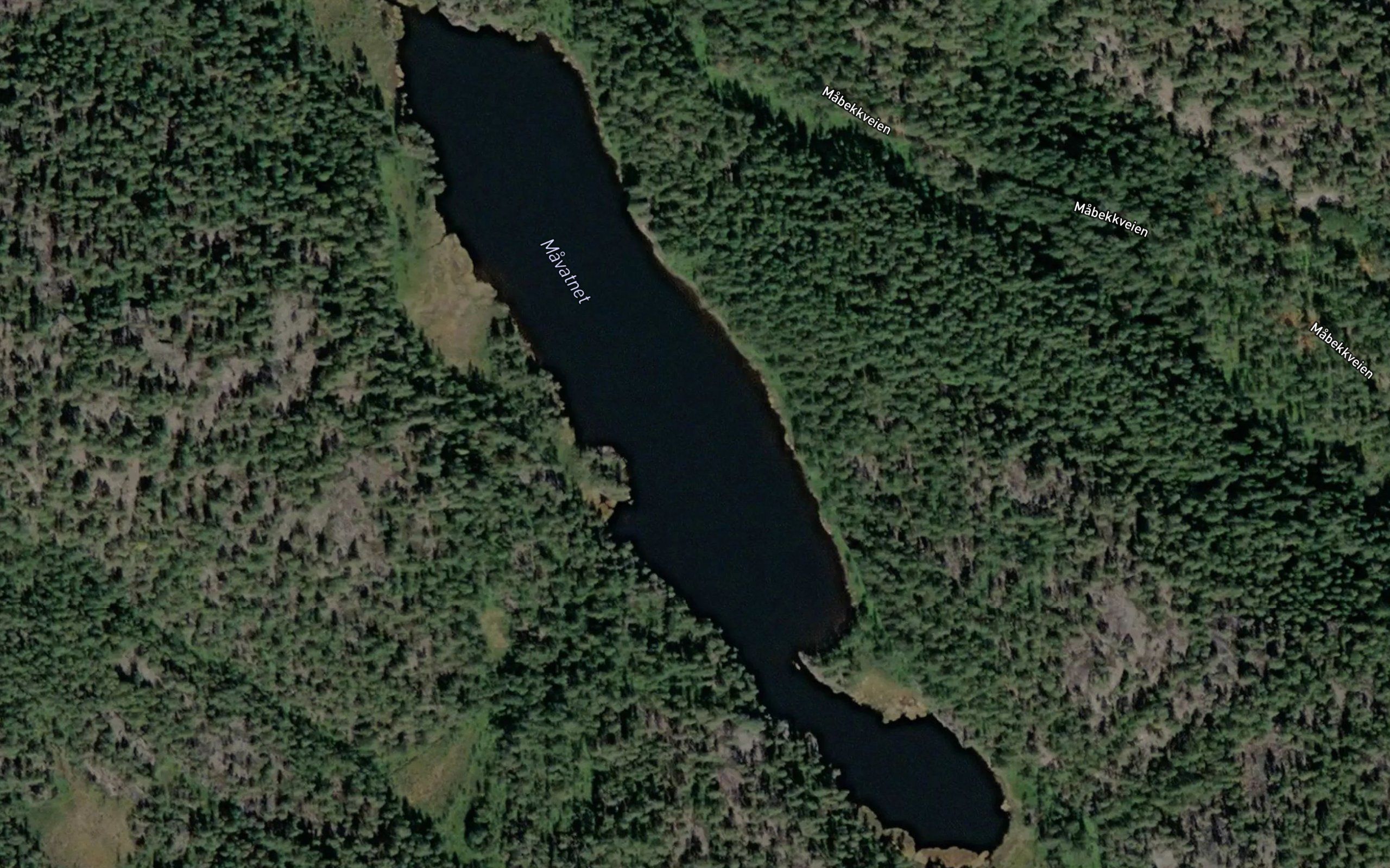 Mavatnet