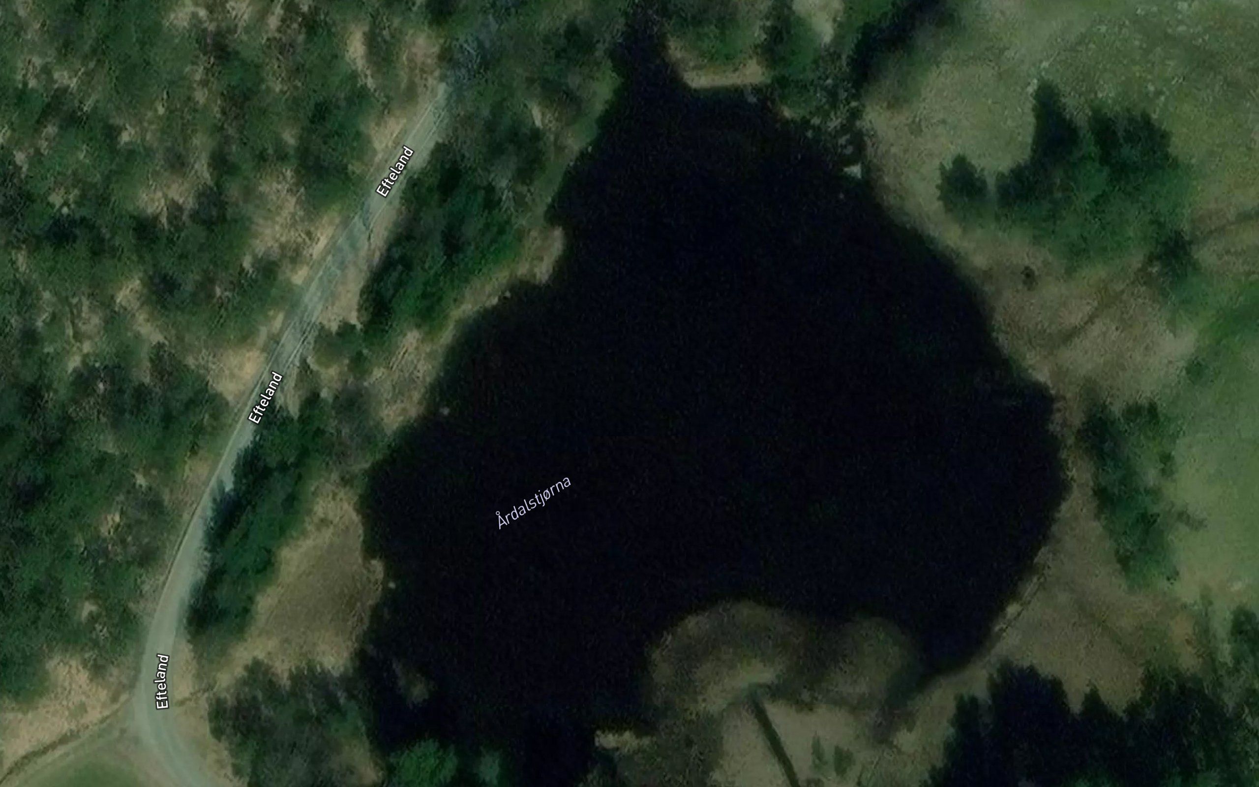 Ardalstjorna