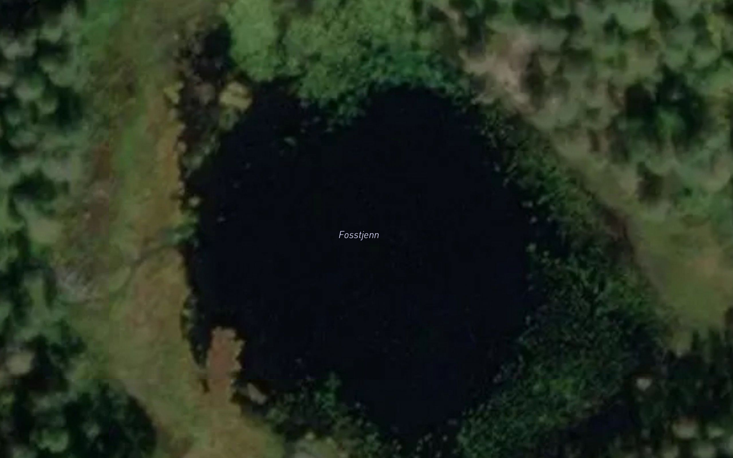 Fosstjenn