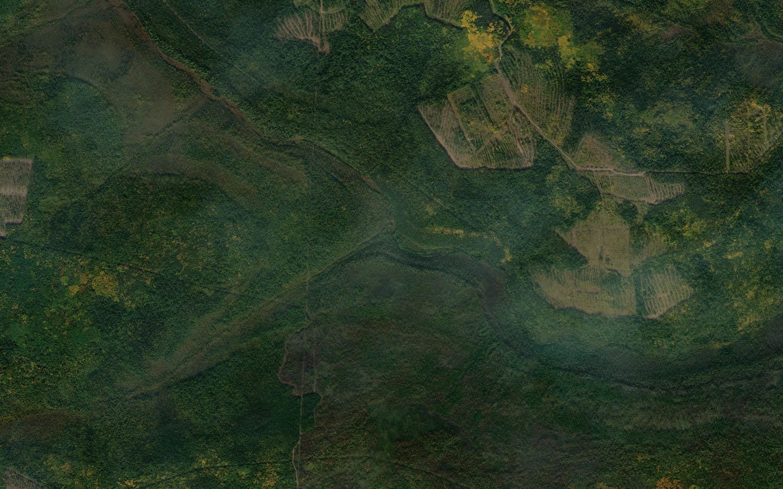 Yelovik