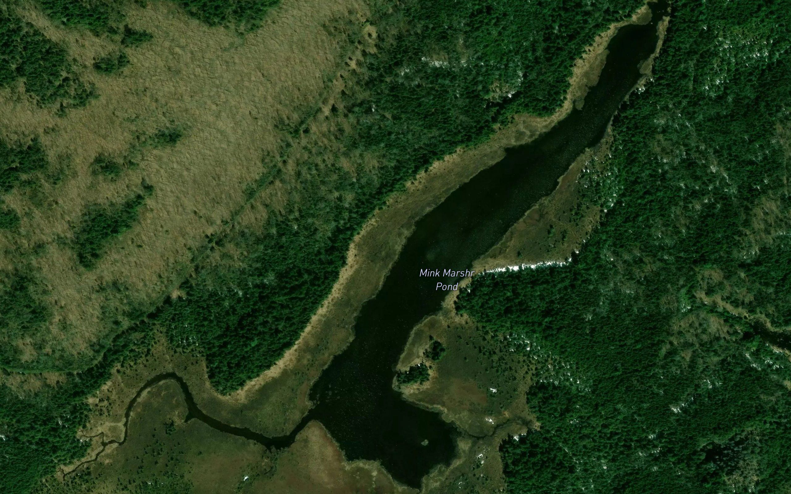 Mink Marsh Pond