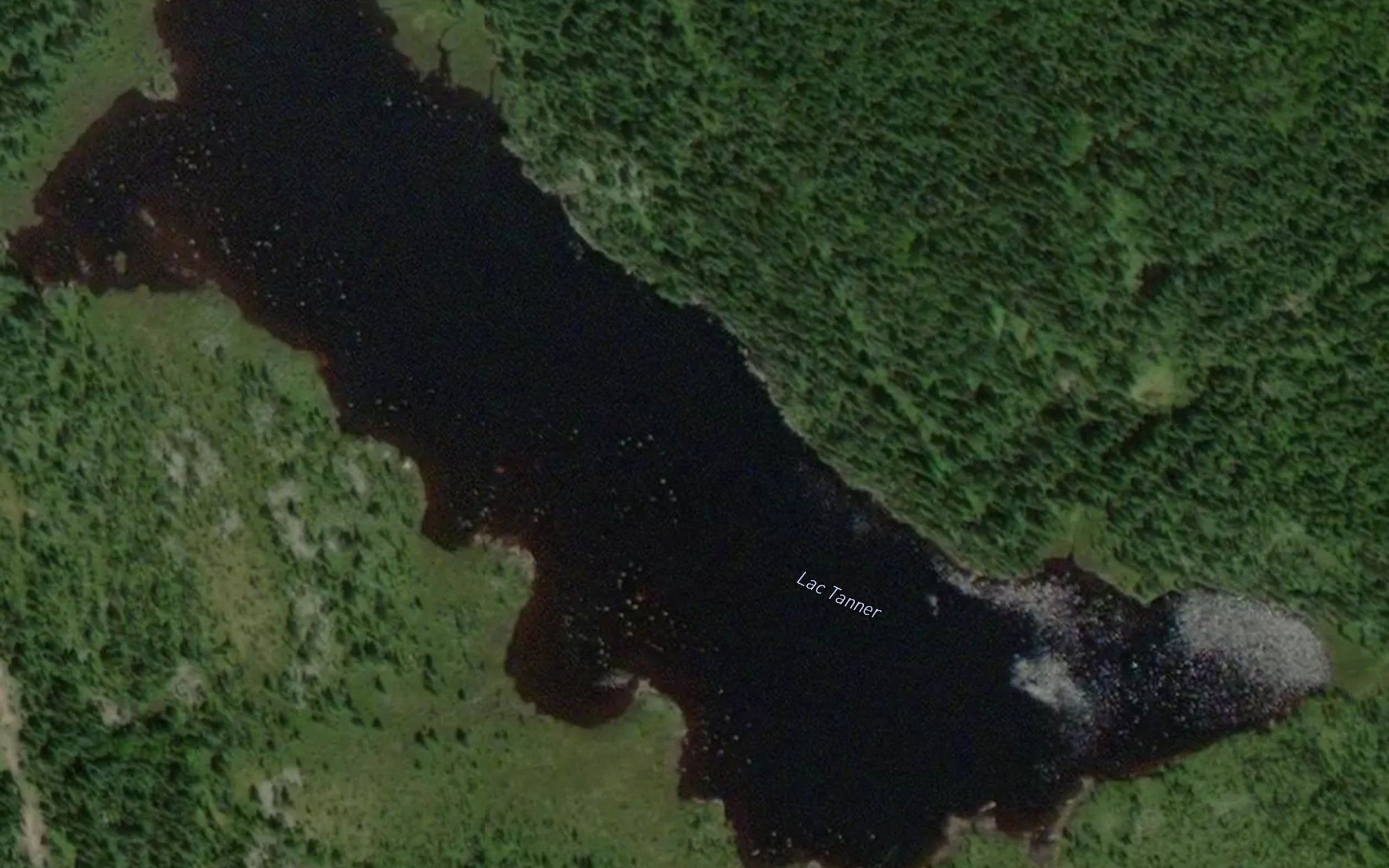 Lac Tanner