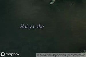 Hairy Lake