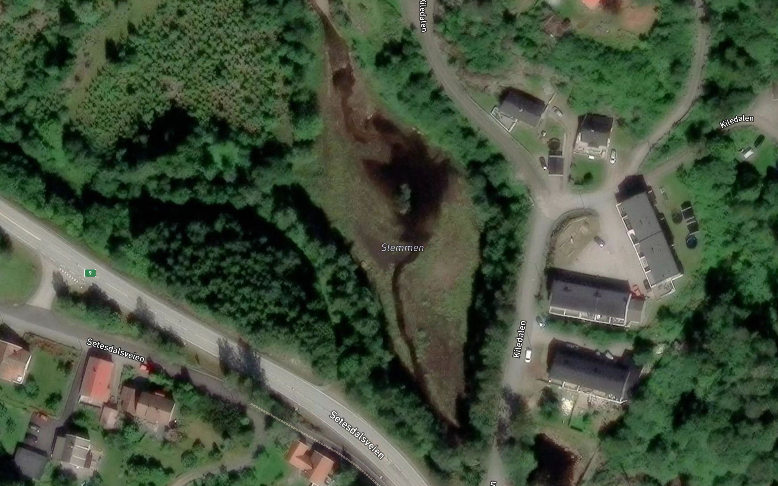 Stemmen