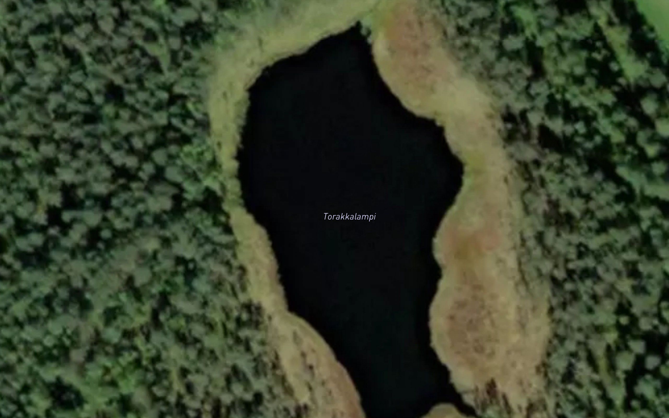 Torakkalampi