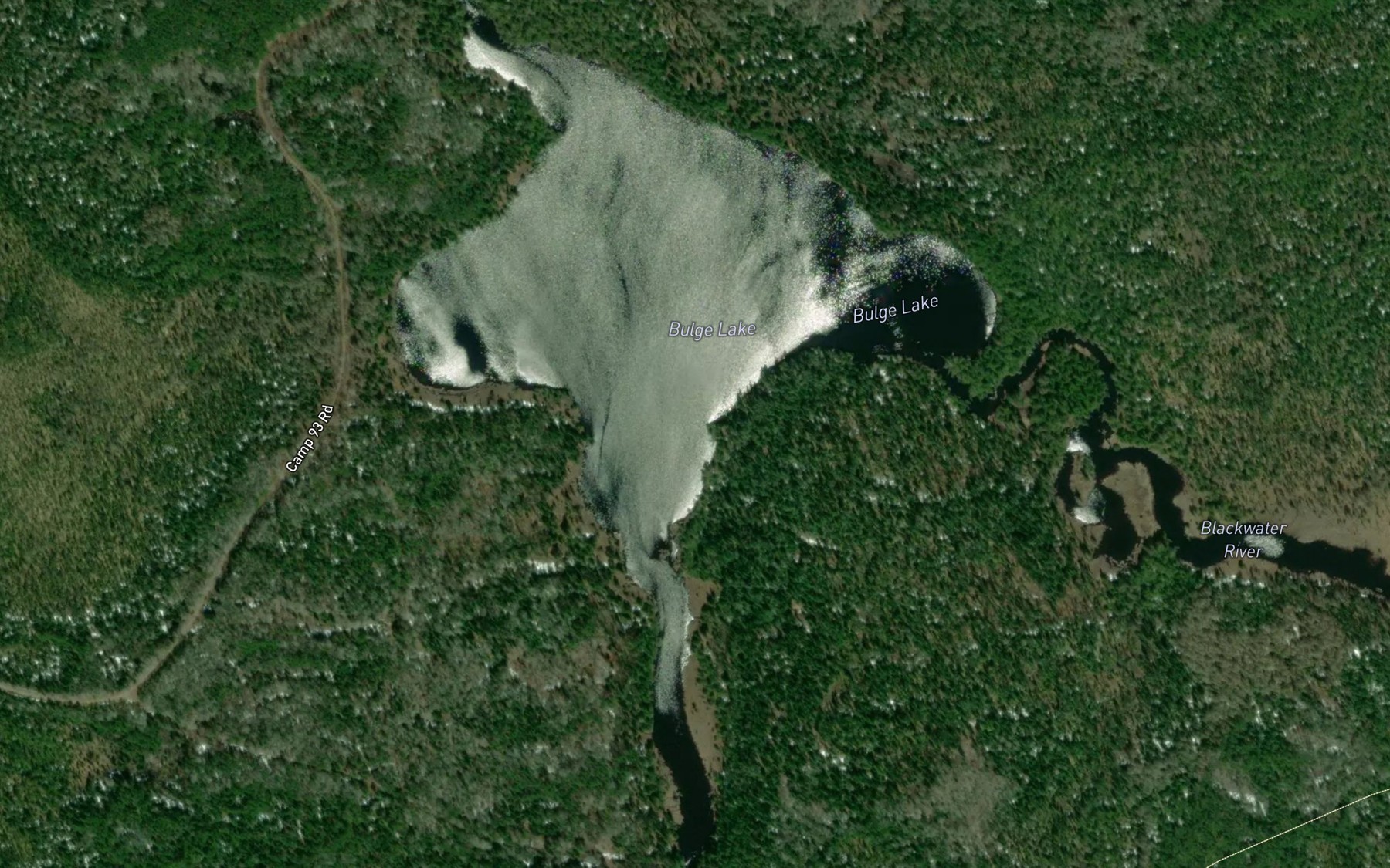 Satellite map of the Bulge Lake