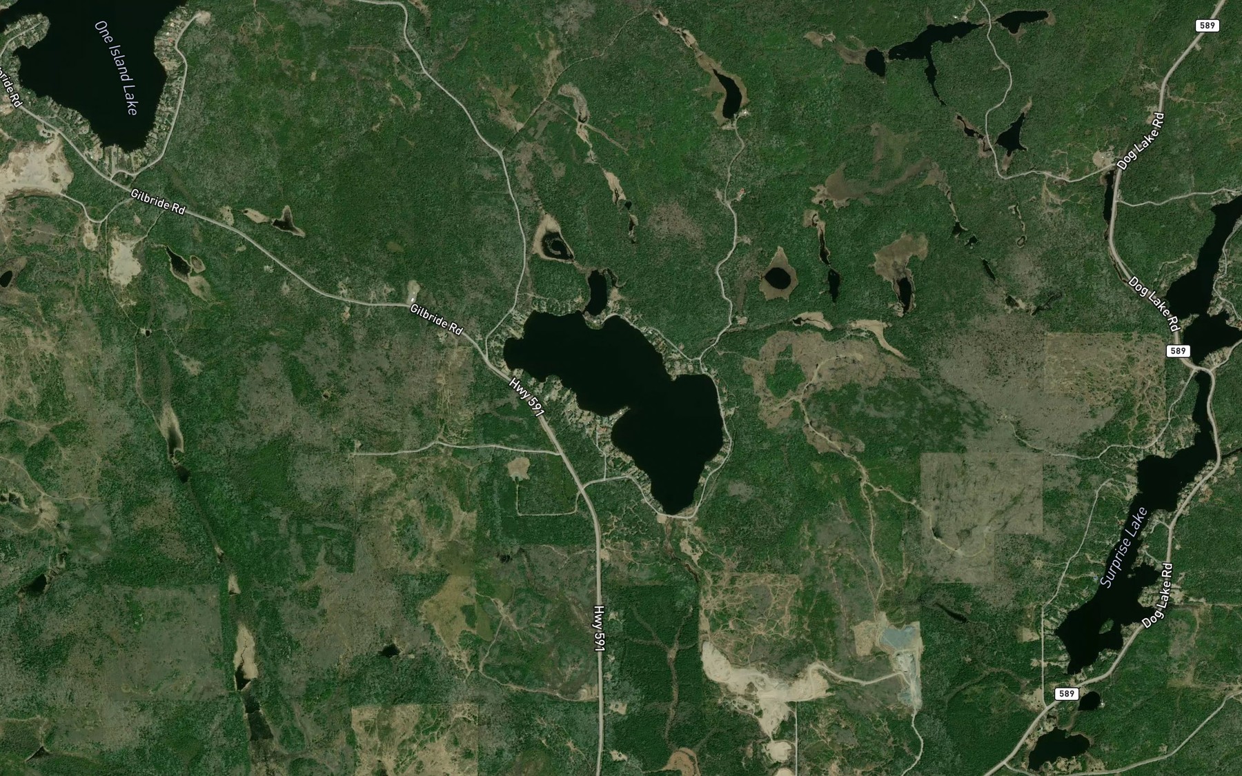 Satellite map of the Trout Lake