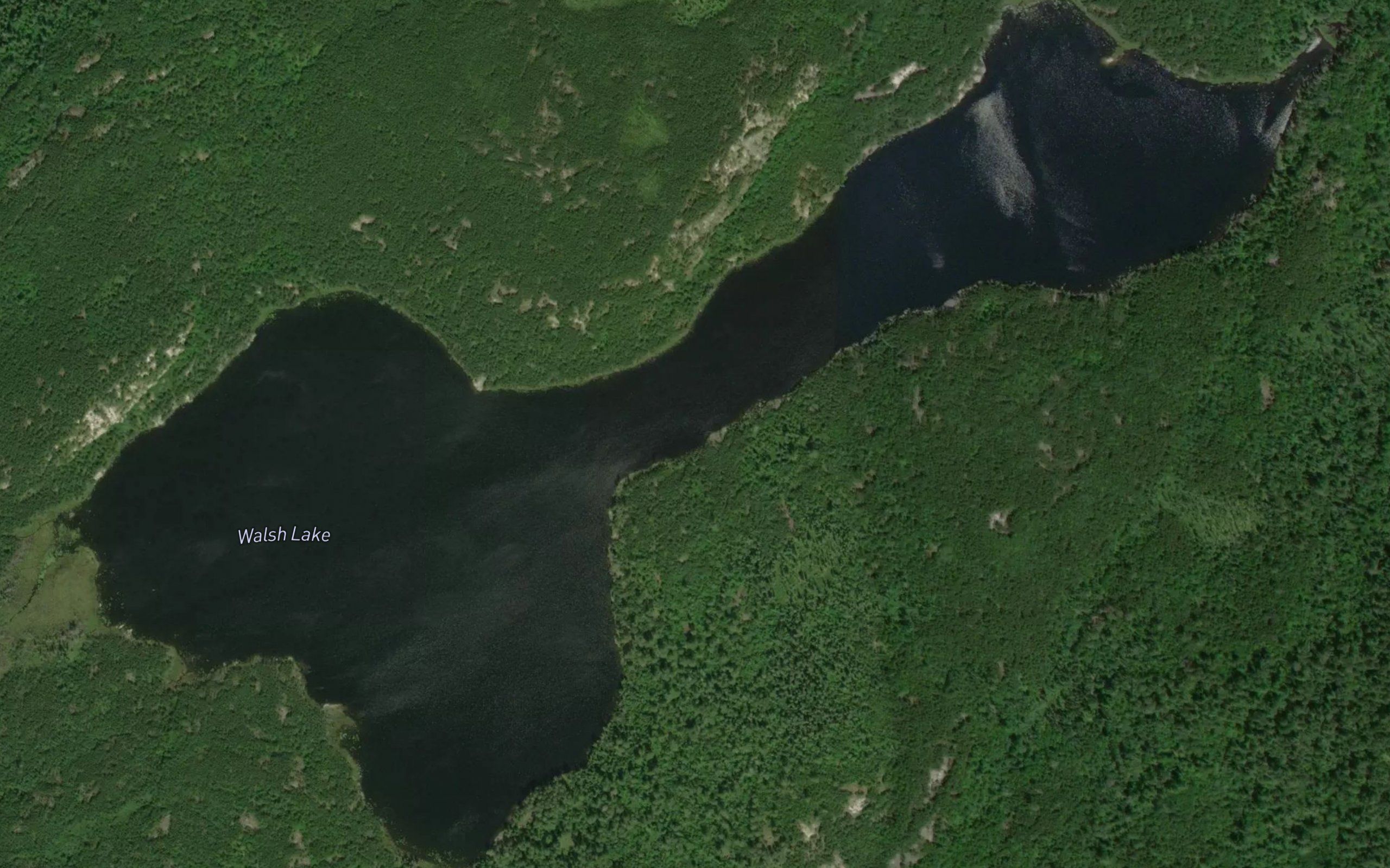 Walsh Lake