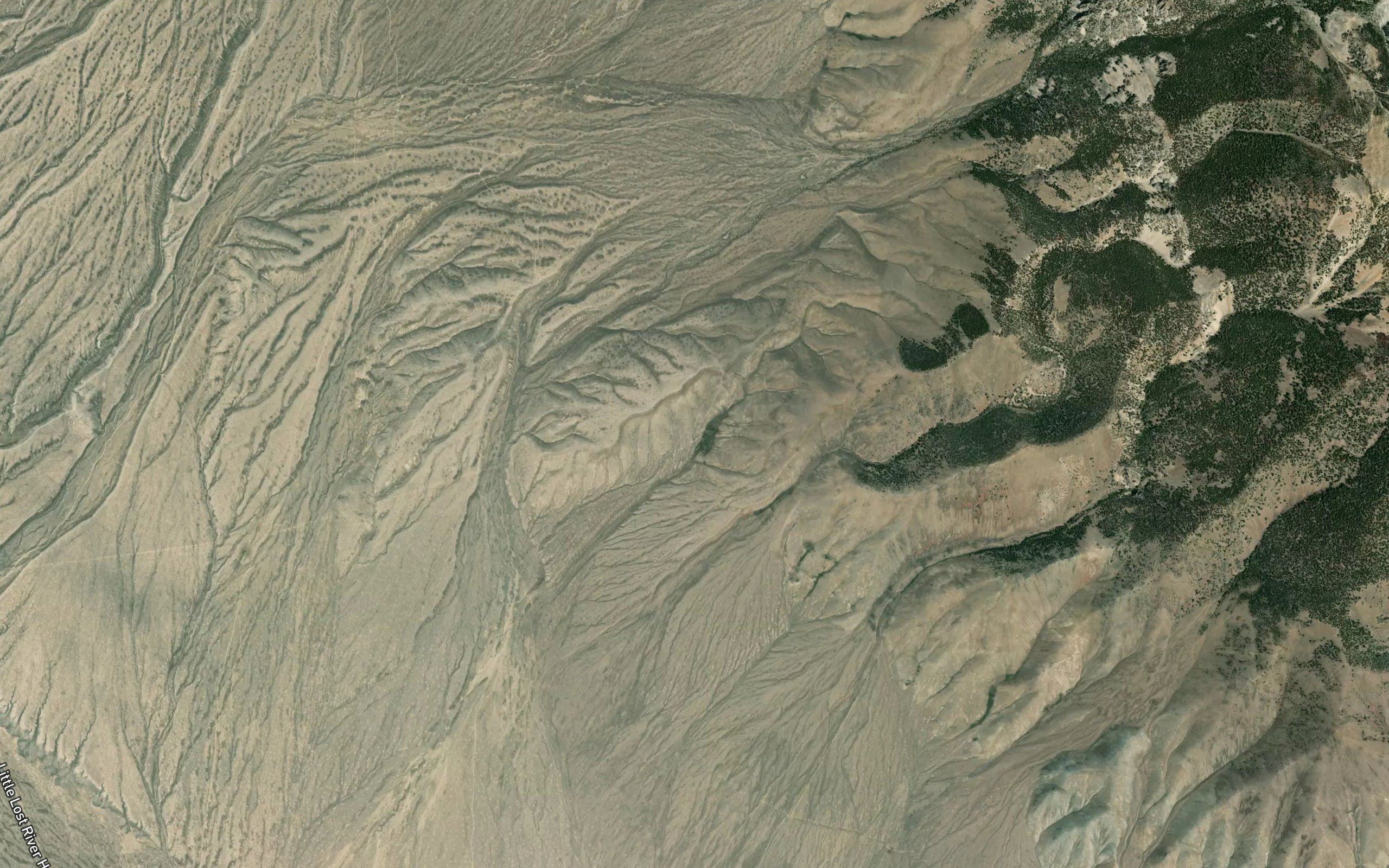 Coyote Spring