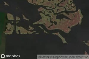 Bayou Dominique