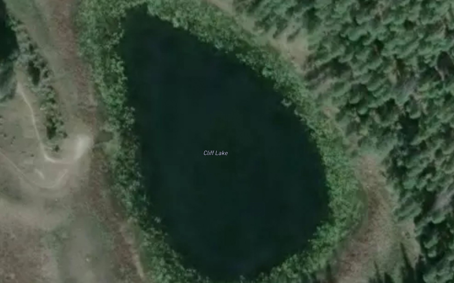 Satellite map of the Cliff Lake