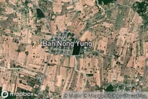 Nong Yung