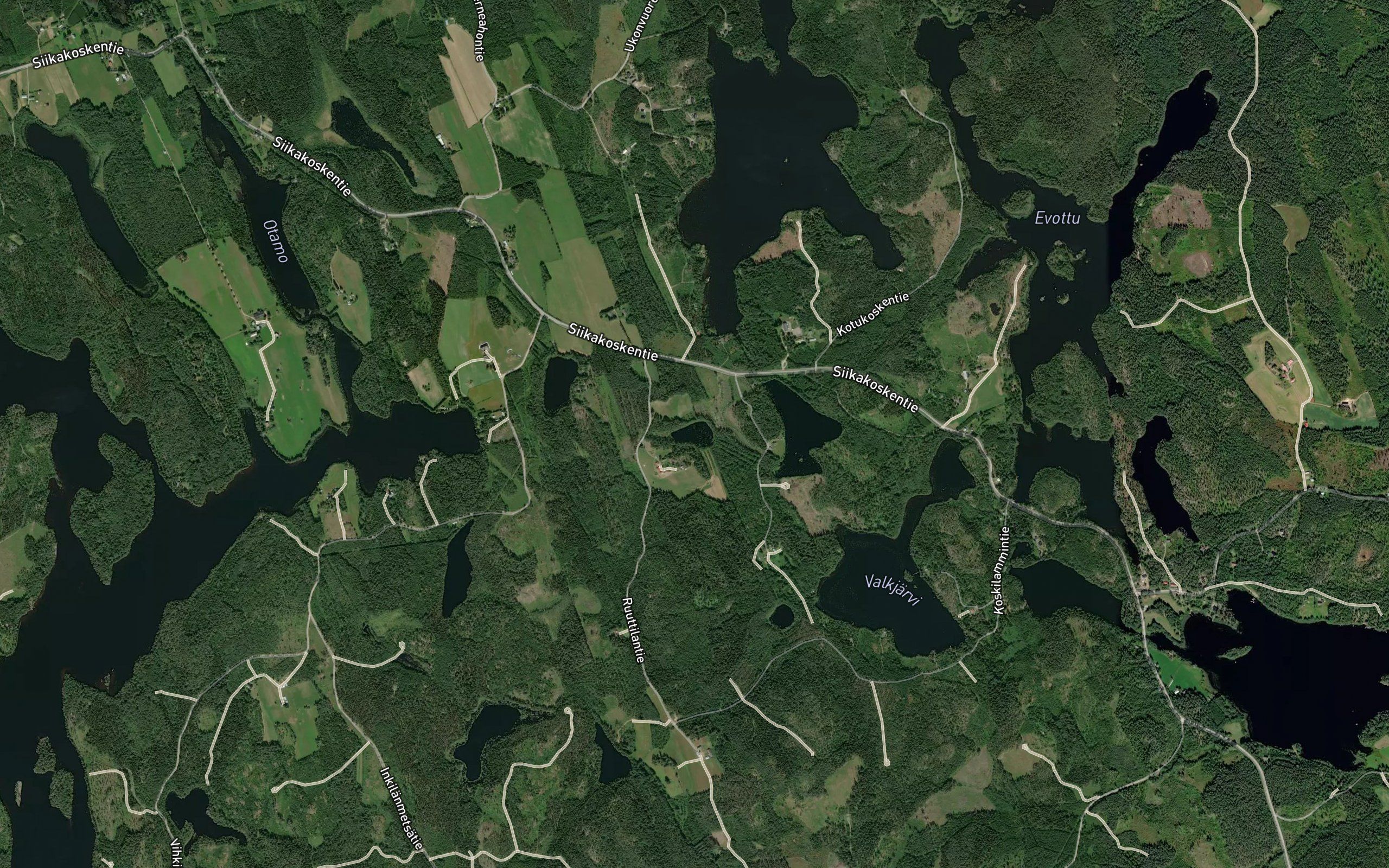 Haukilampi
