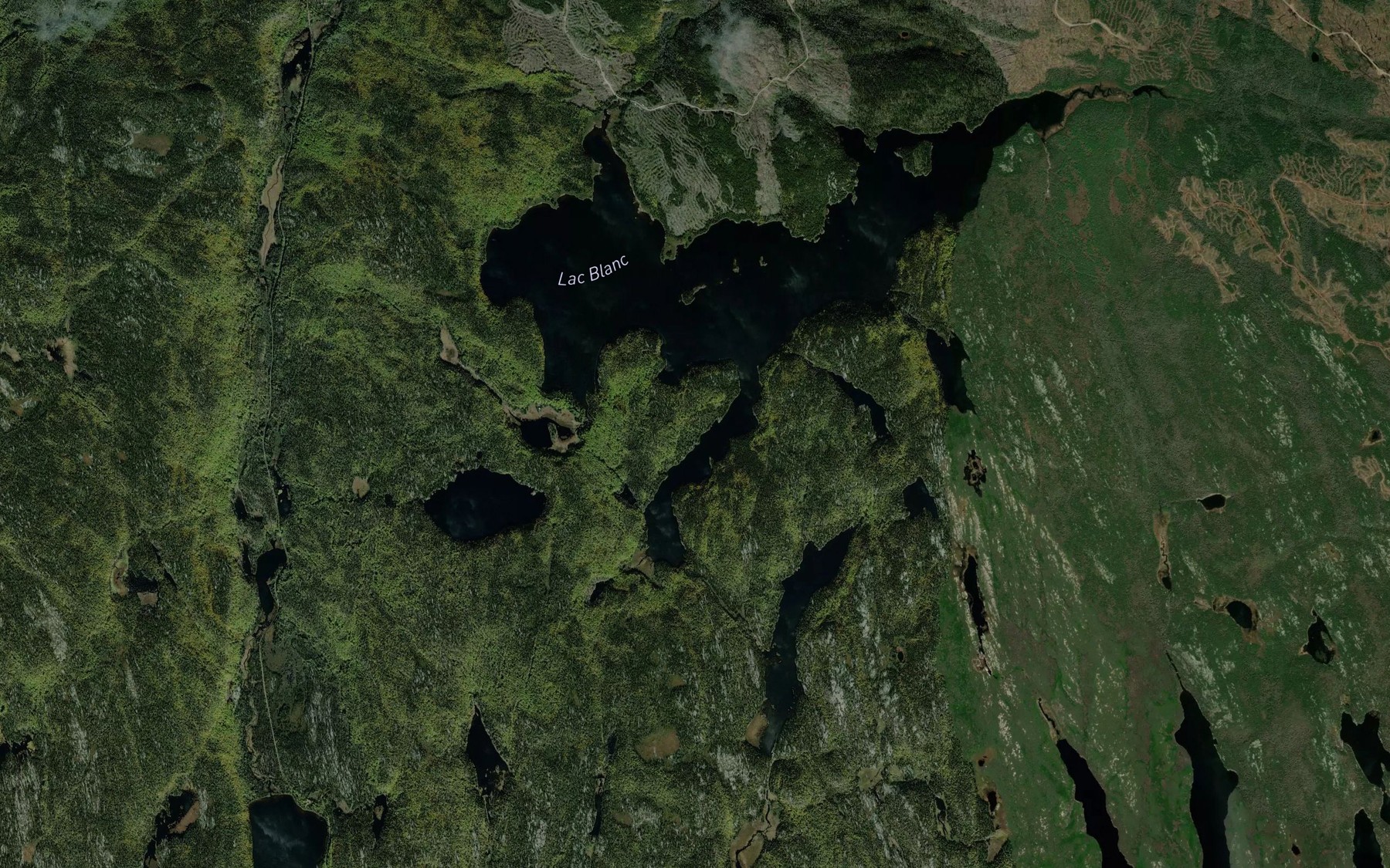 Satellite map of the Lac Theodore