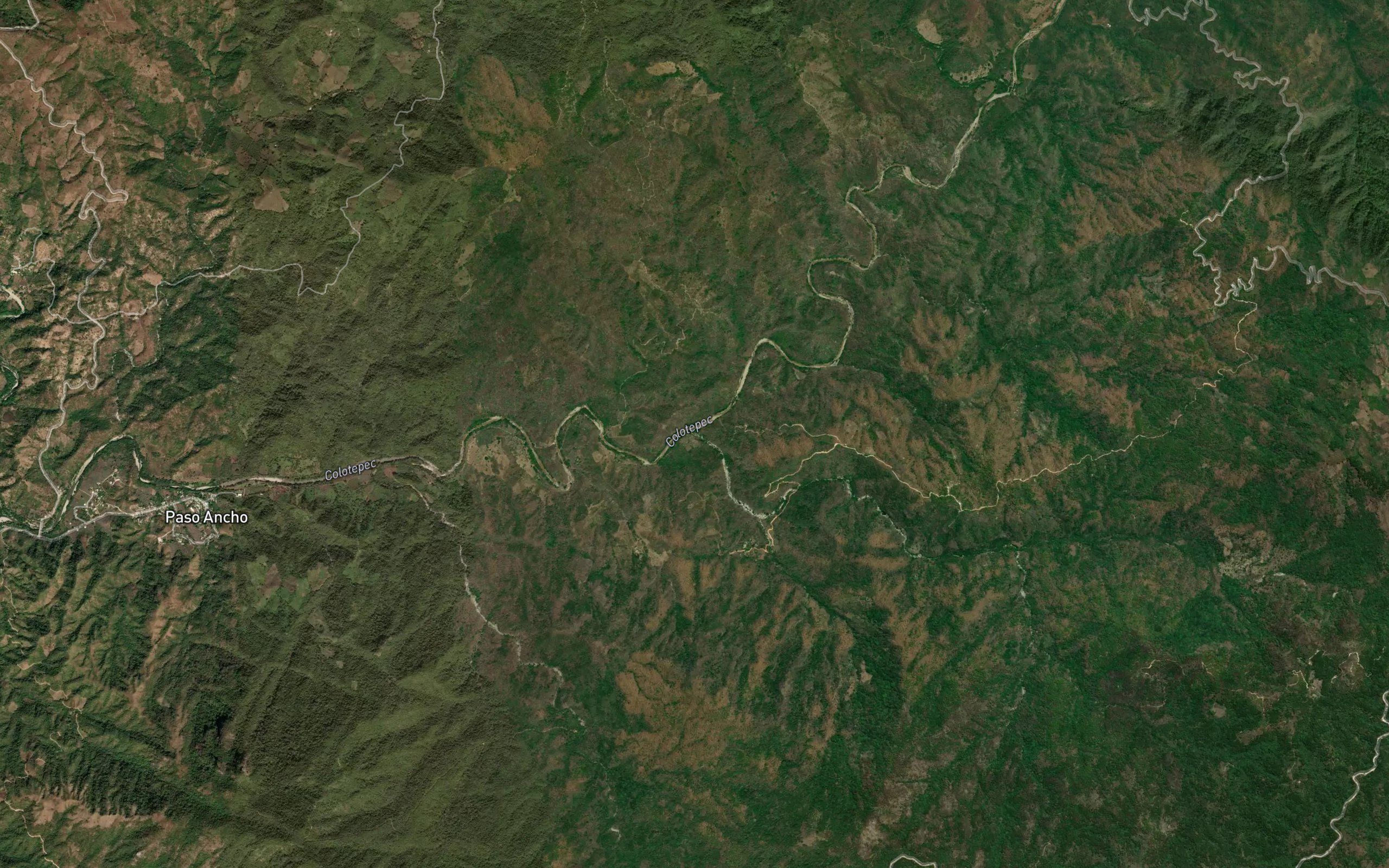 Tejon