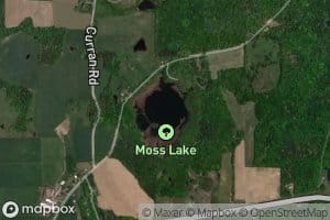 Moss Lake