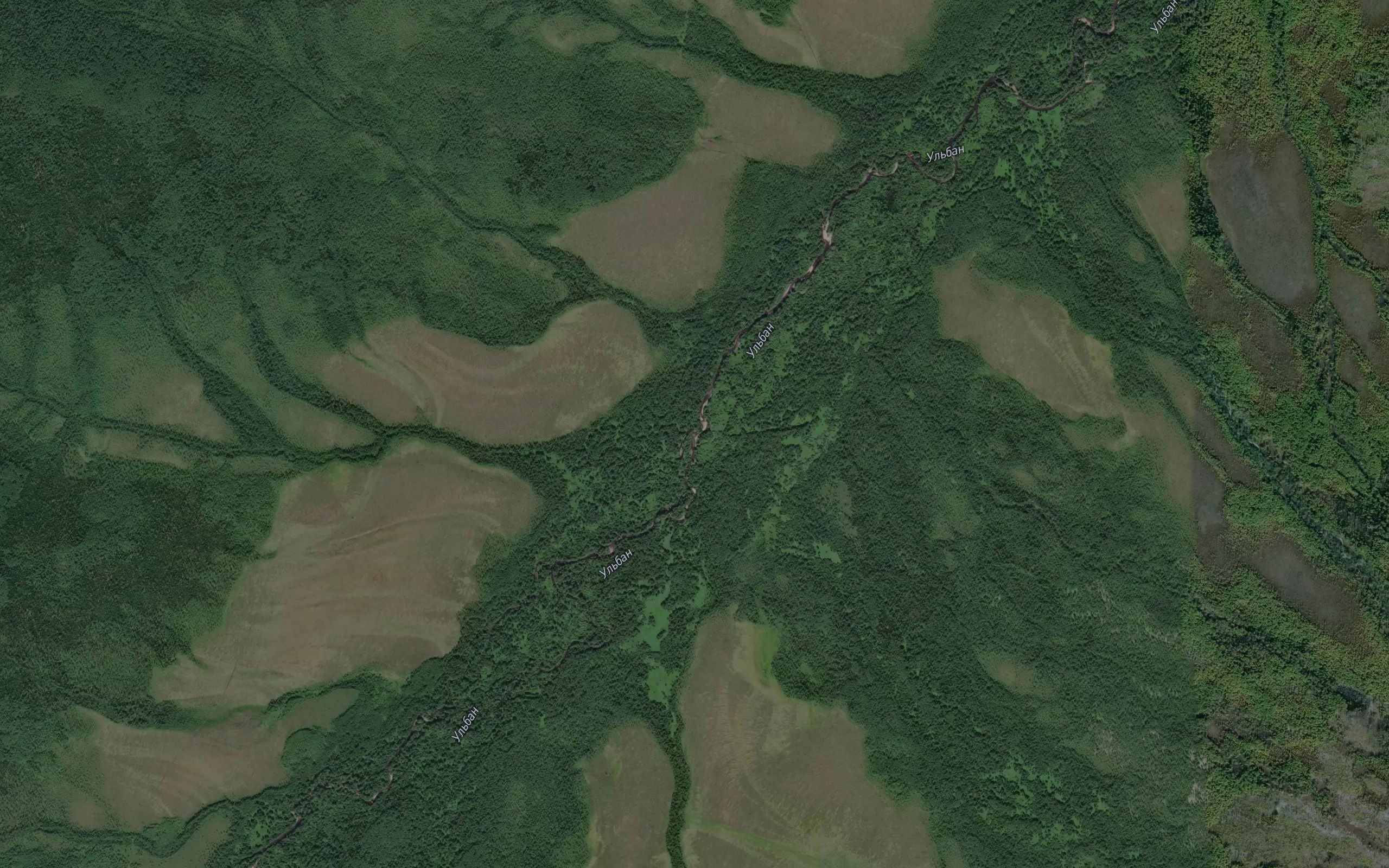 Nadtropnyy