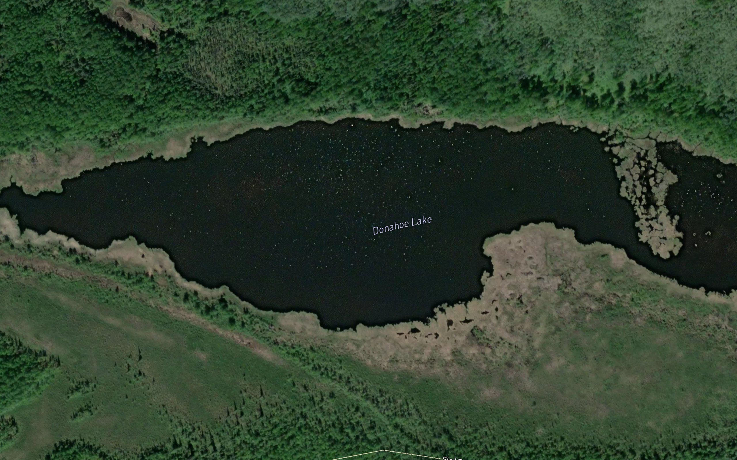 Donahoe Lake