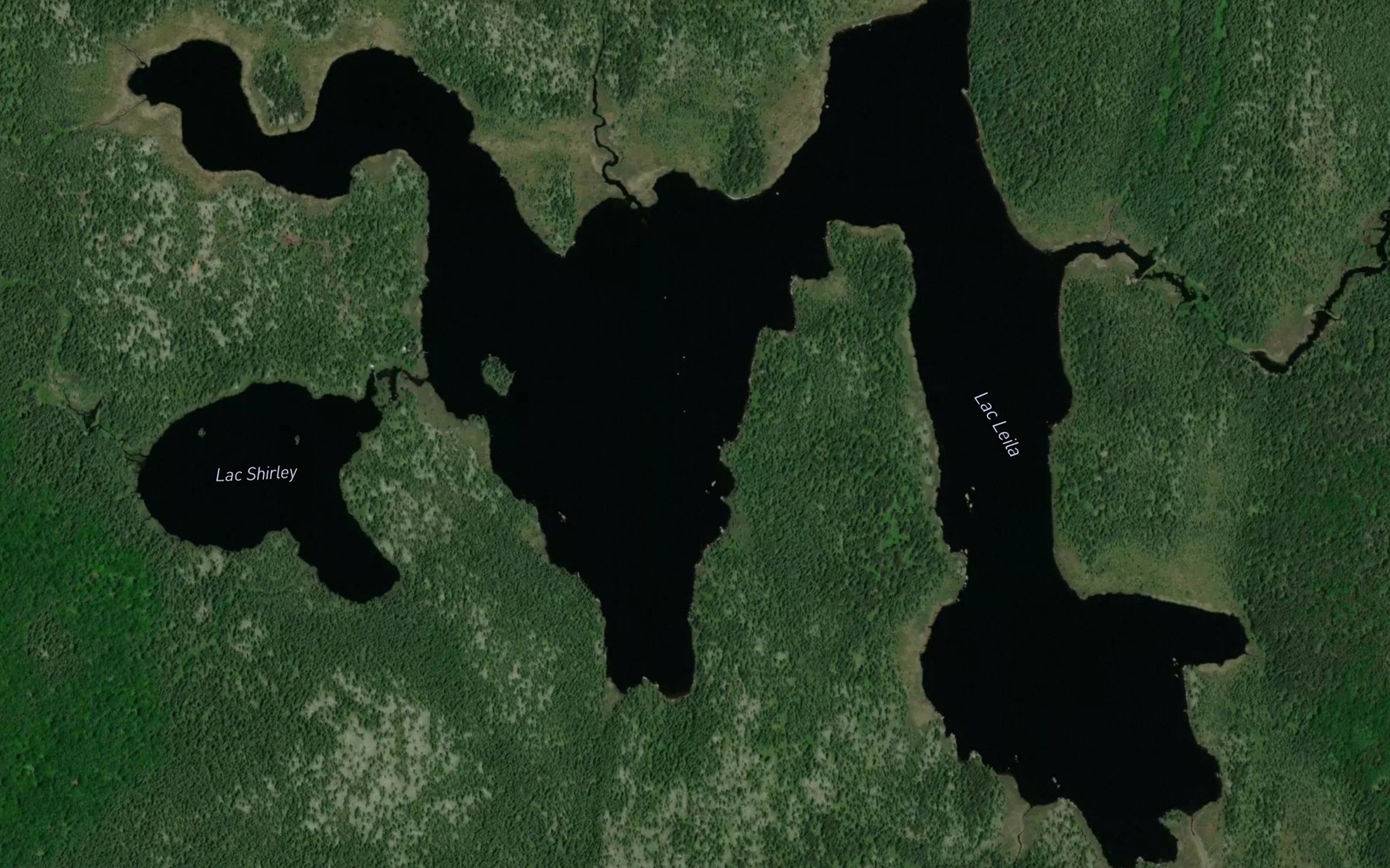 Satellite map of the Lac Leila