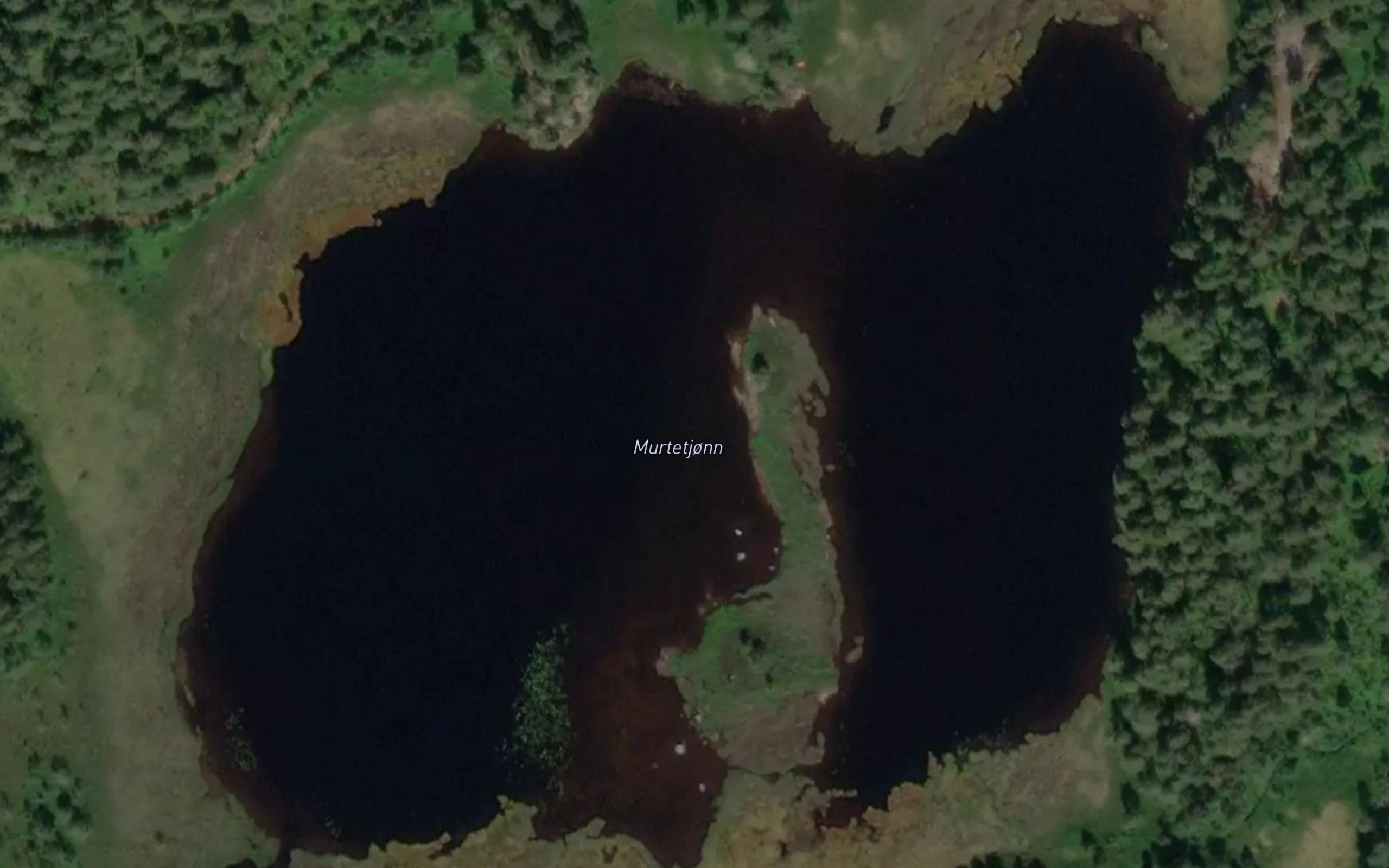 Murtetjonn