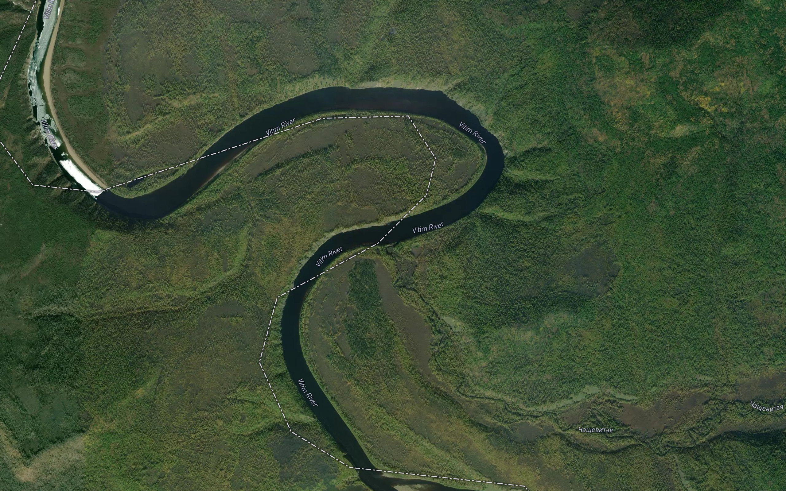 Chashchevitaya