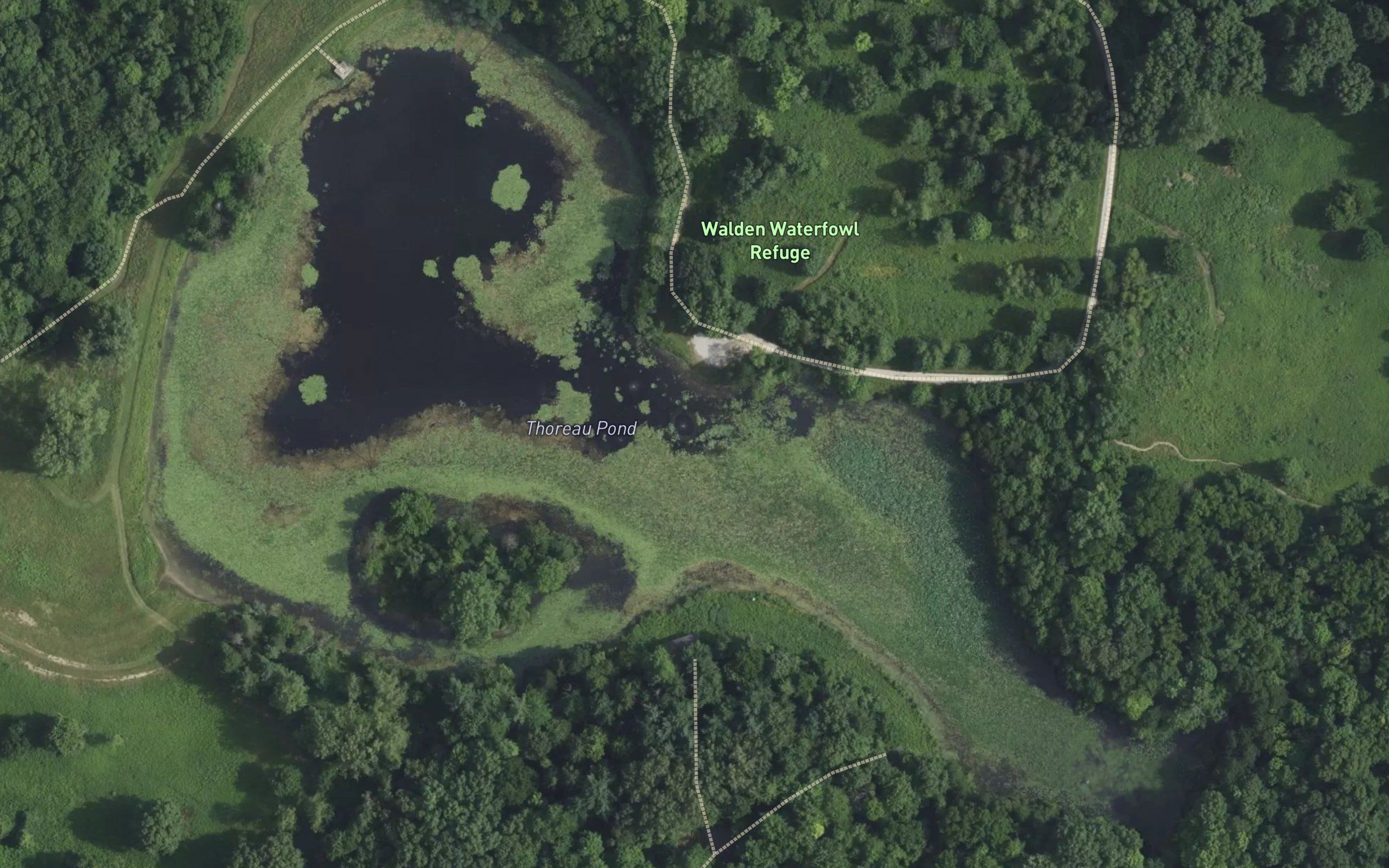 Thoreau Pond