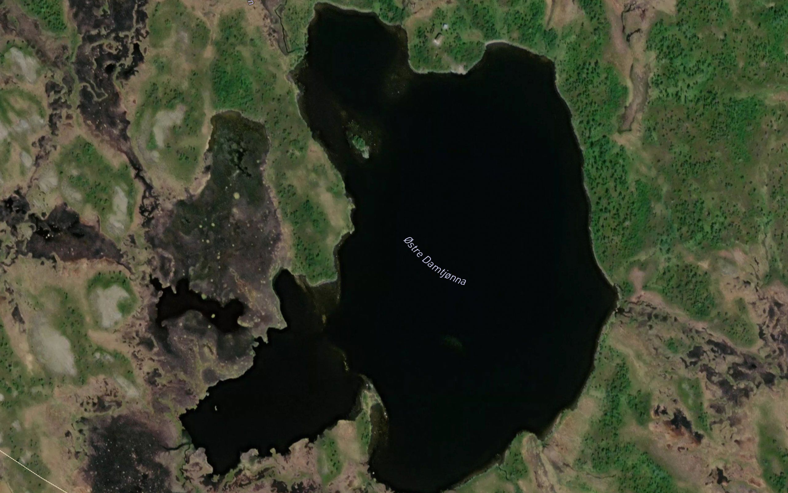 Ostre Damtjorn